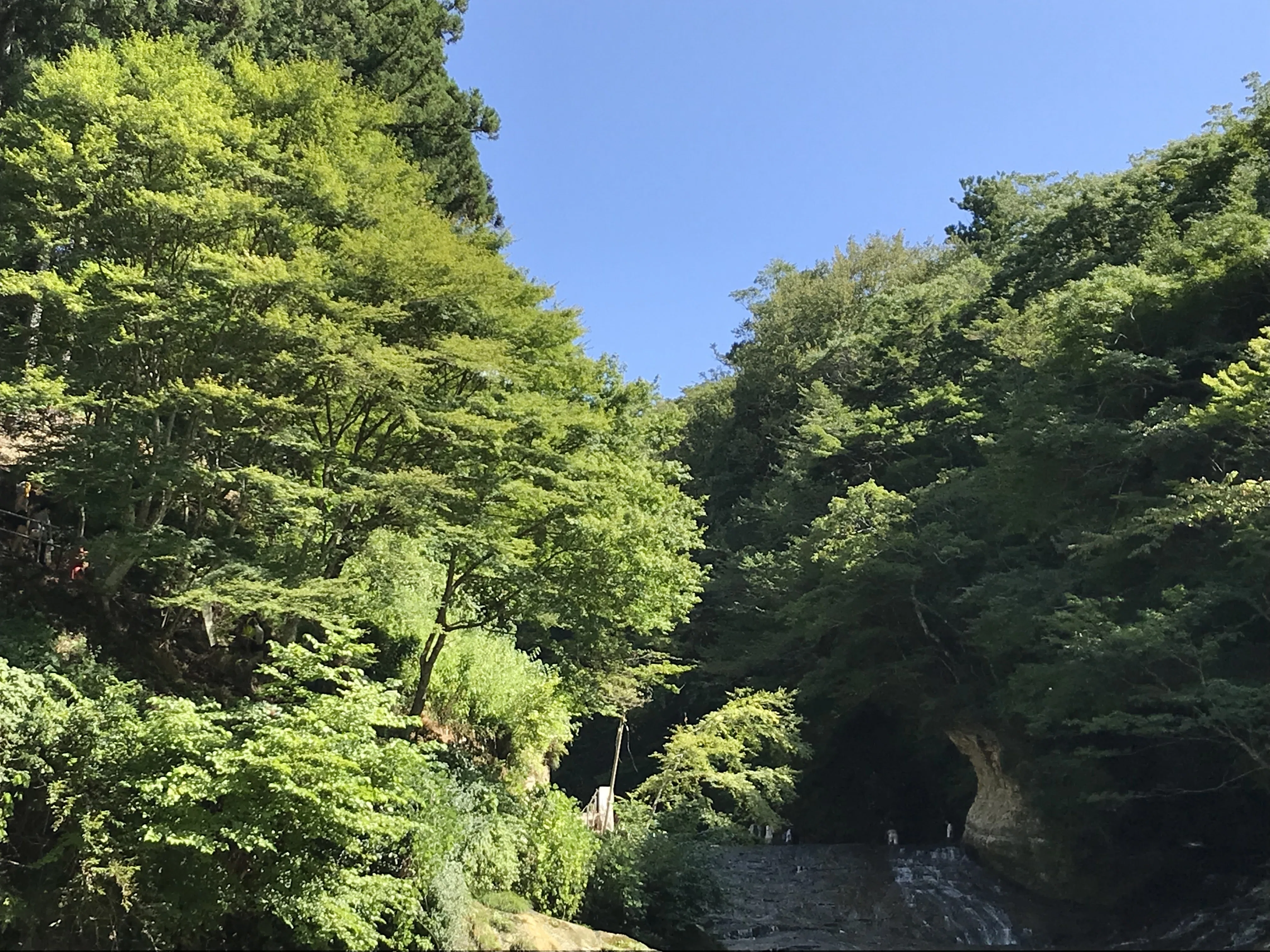 No.6 アート秘話 夏の掛軸は…滝に決まり！！｜サッカユカリ/YUKARIUM