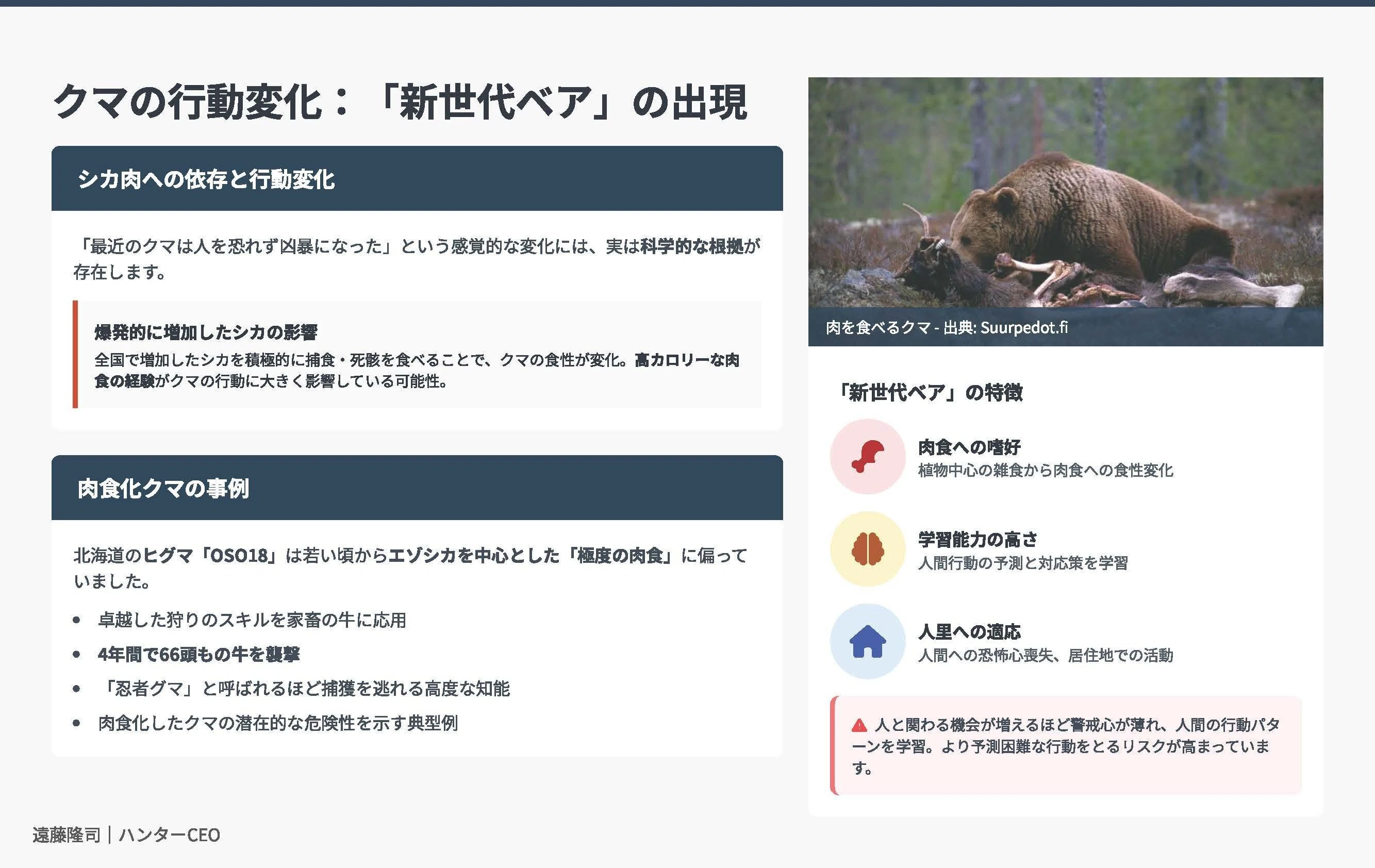 アーバンベア問題：深刻化する人とクマの軋轢と共存｜ハンターCEO