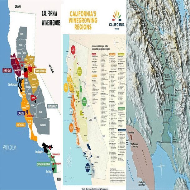 17‐SF: Sonoma&Napa Winary-ソノマとナパのワイナリー‐｜池谷 佳織