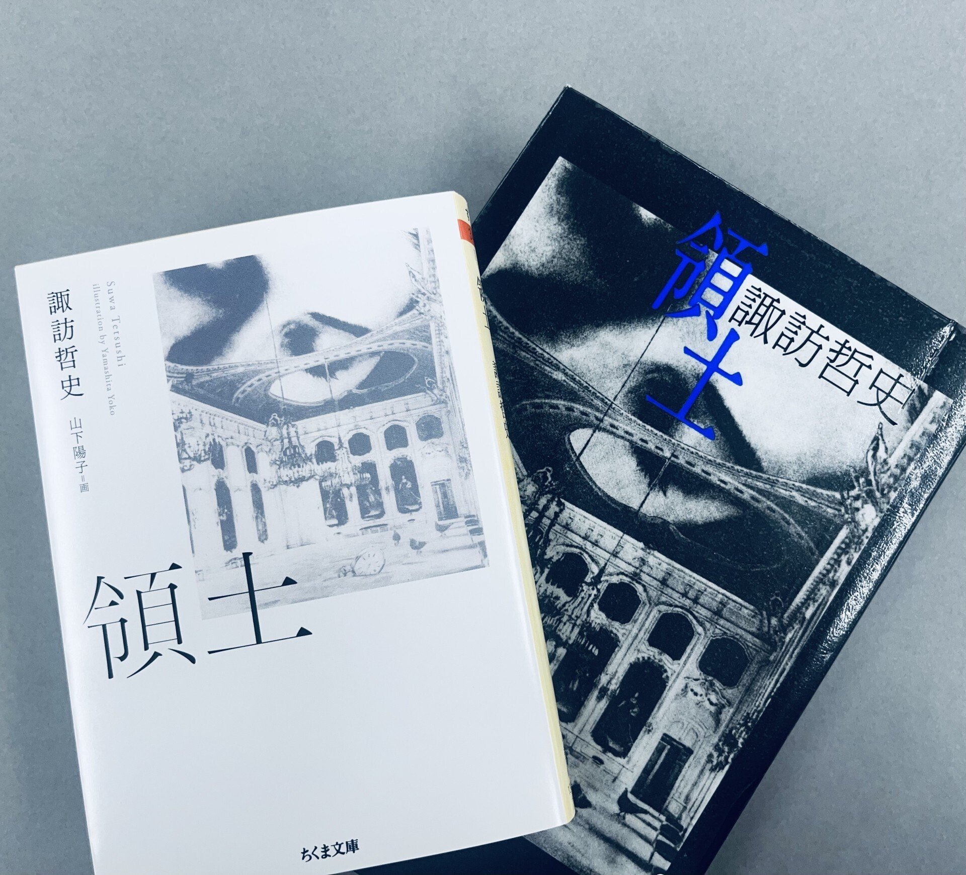 第3回 諏訪哲史『領土』｜webちくま（筑摩書房の読みものサイト）