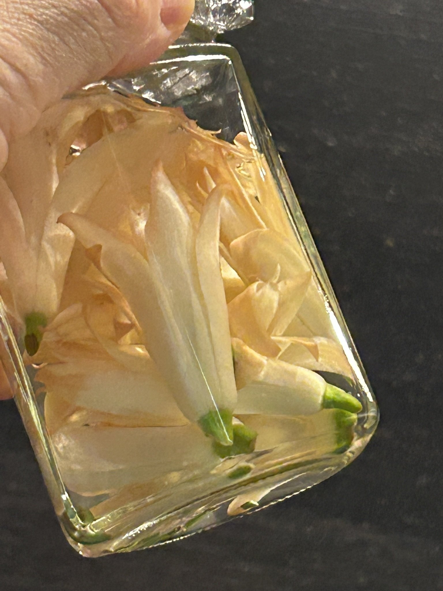 ホワイトチャンパカ（ギンコウボク）｜Scents of Earth ~aromatic life