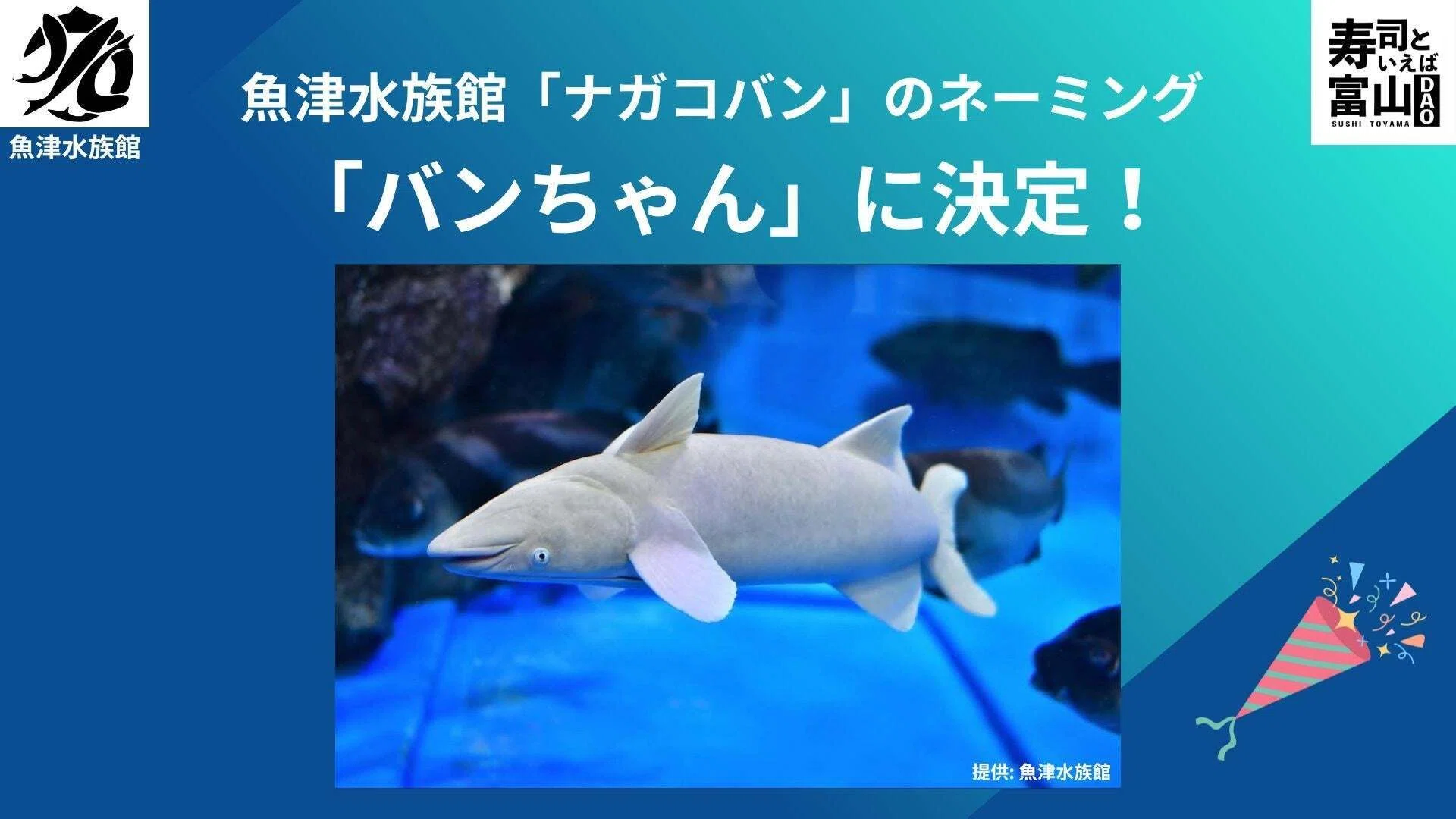 富山の寿司を盛り上げる「寿司といえば富山DAO」と「魚津水族館」が
