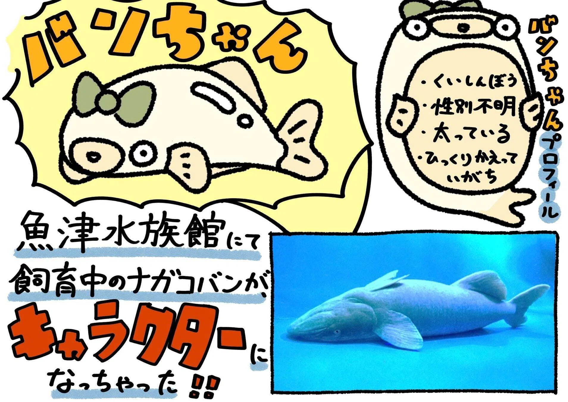 富山の寿司を盛り上げる「寿司といえば富山DAO」と「魚津水族館」が