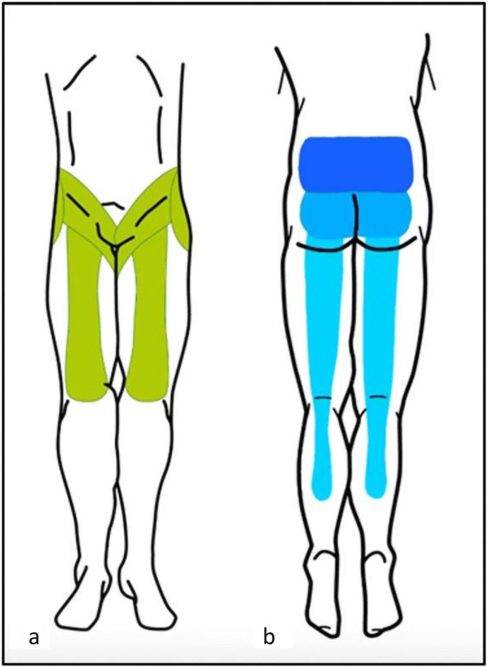 Are Manual Tests Limited? Learning the Definitive Diagnosis Process for ...