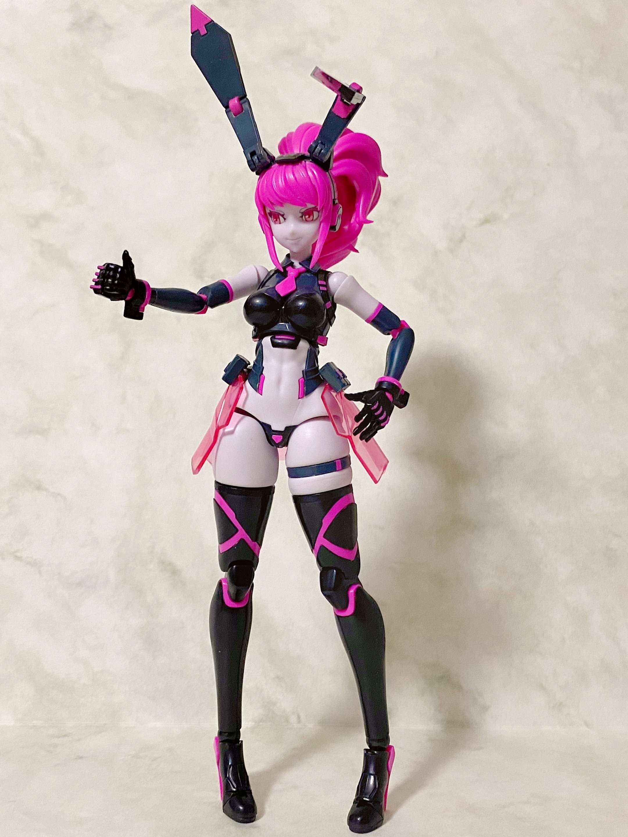 日本向け中華キット「アニマサーキット ヴィオ・ザ・ラビット