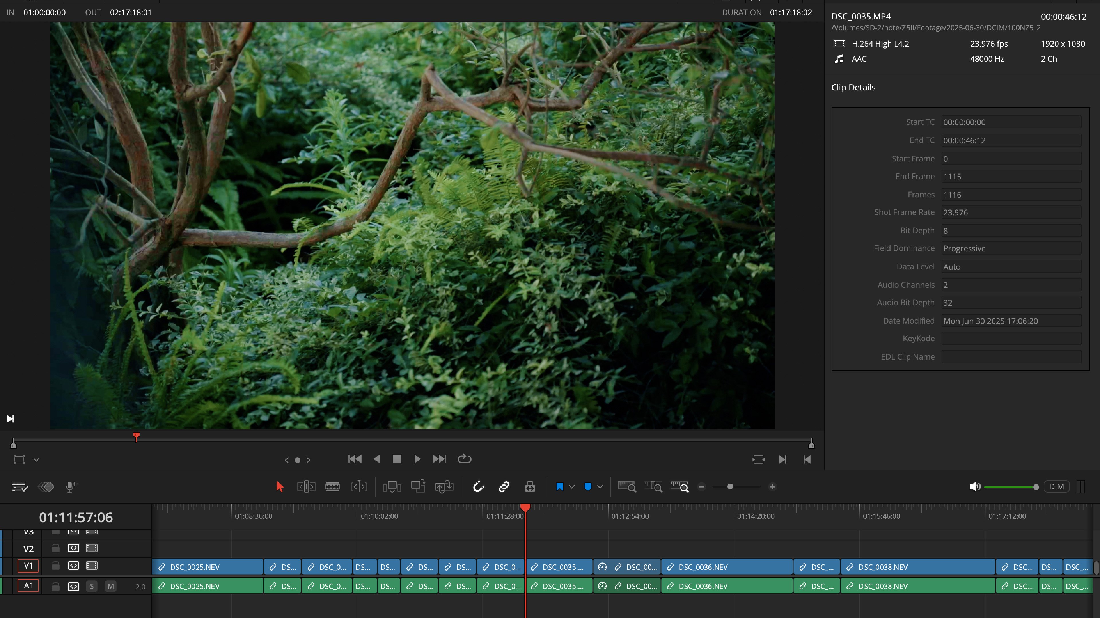N-RAW 左右の見切れ問題を解消する｜Kaz Ohata
