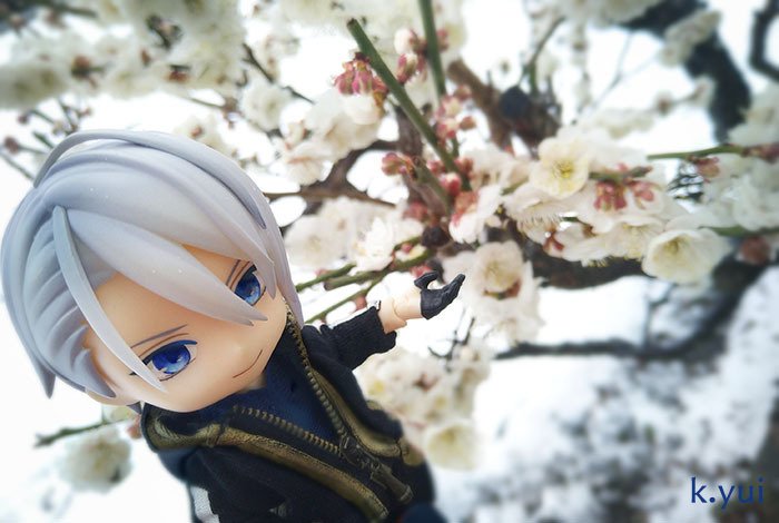 桜*花様 とうらぶ ぬーどるストッパー 山姥切長義 桜*花様 とうらぶ