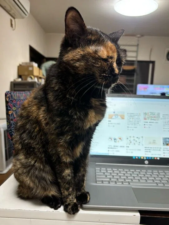 画像
