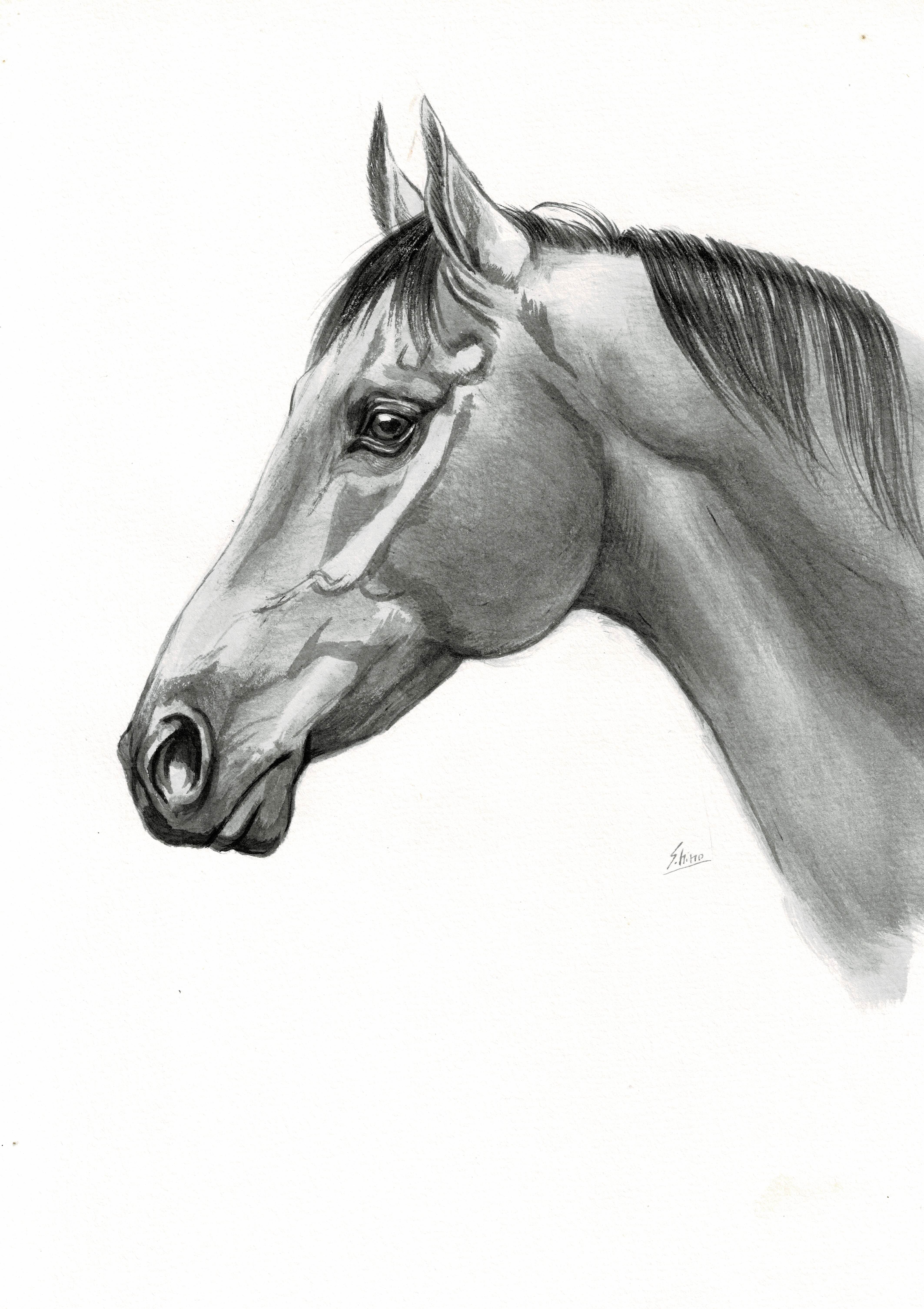 馬の瞳を見つめて 馬の瞳を見つめて