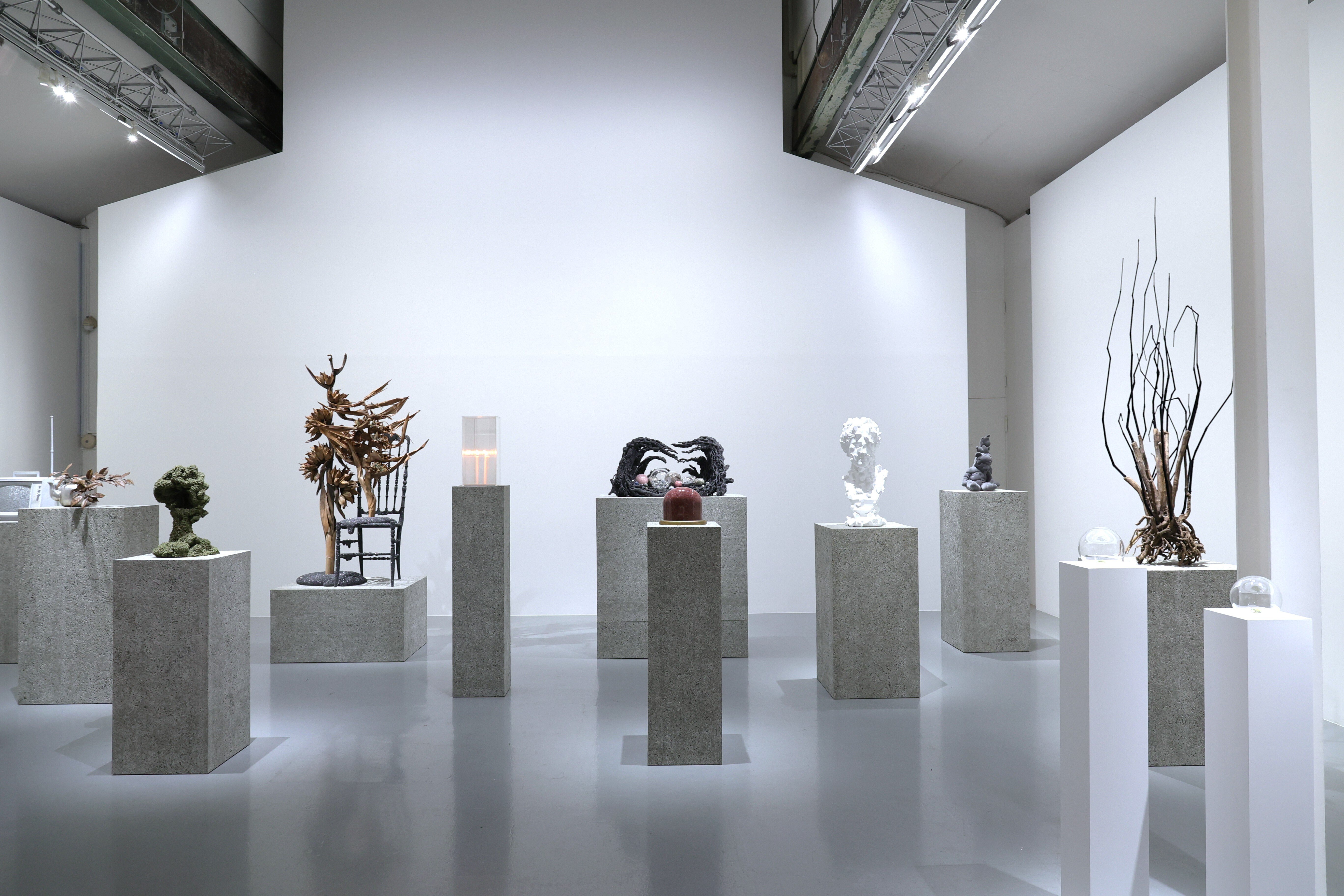 意図的な無秩序