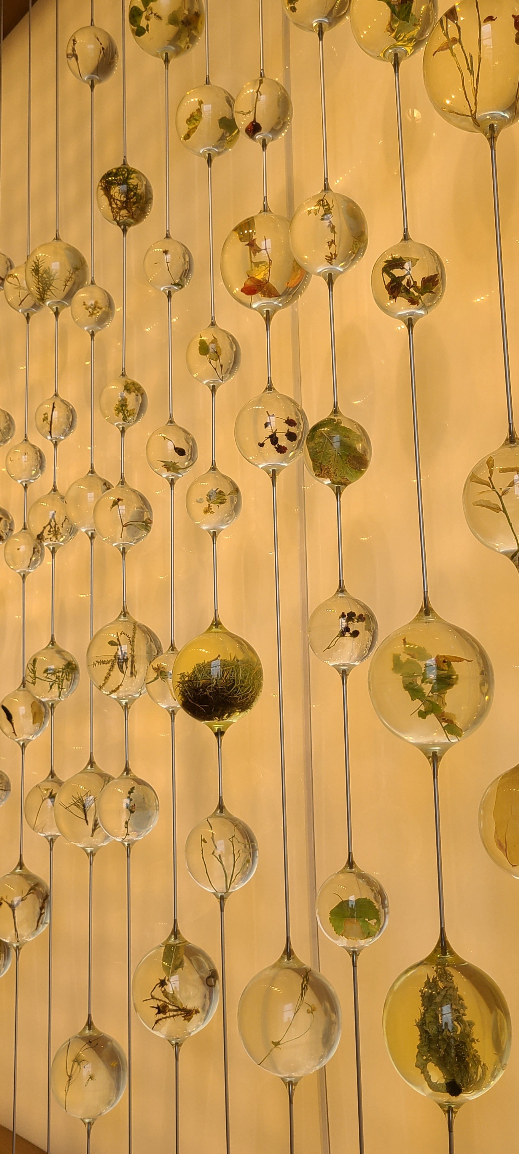 大阪関西万博 琥珀 ポーランド ピアス ゴールド金具 expo 大阪万博