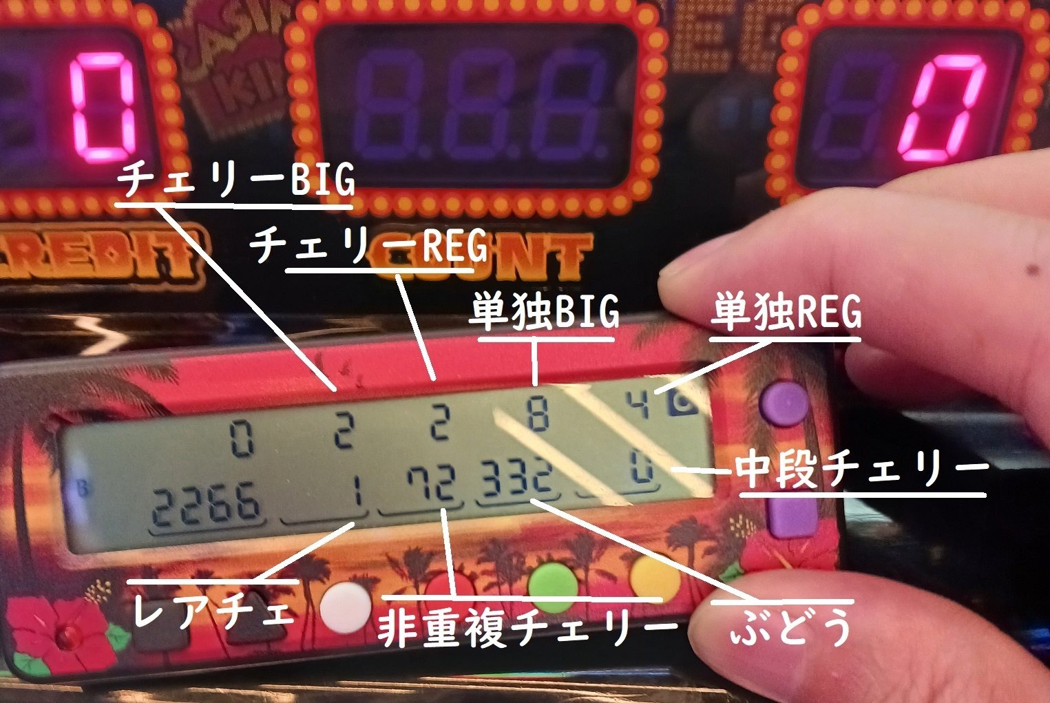 dana♡pf必読 7/5稼働日記】これは復讐の物語だ─｜びばぶい