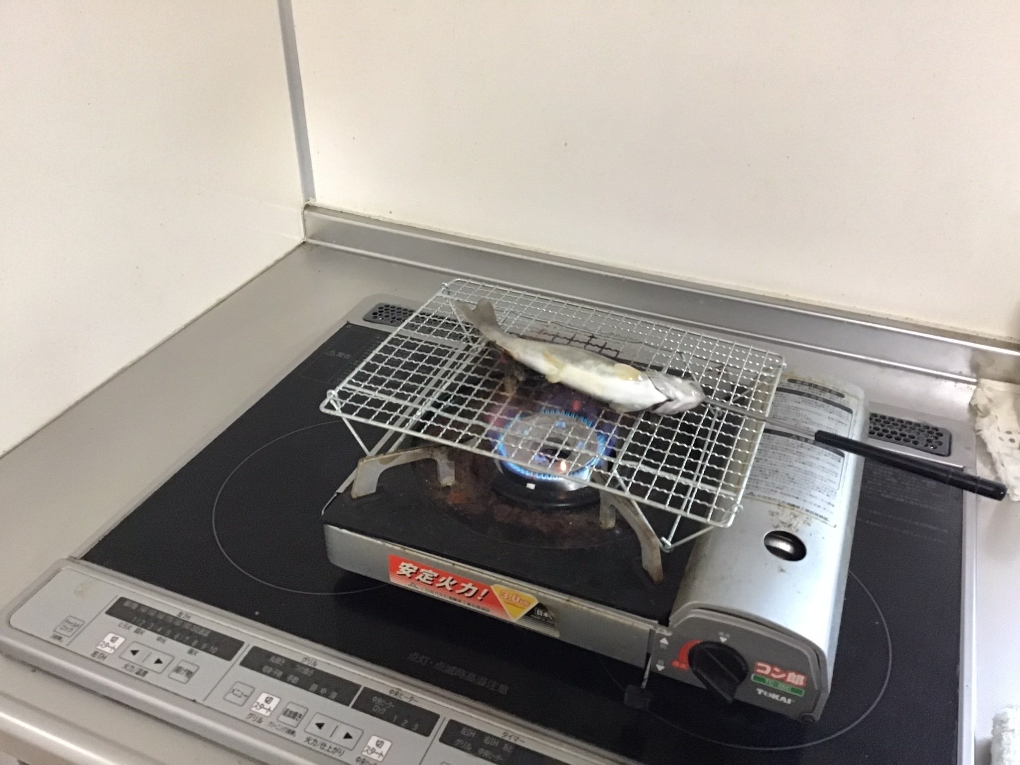 川魚（鮎）｜DJ.プラグマティクス