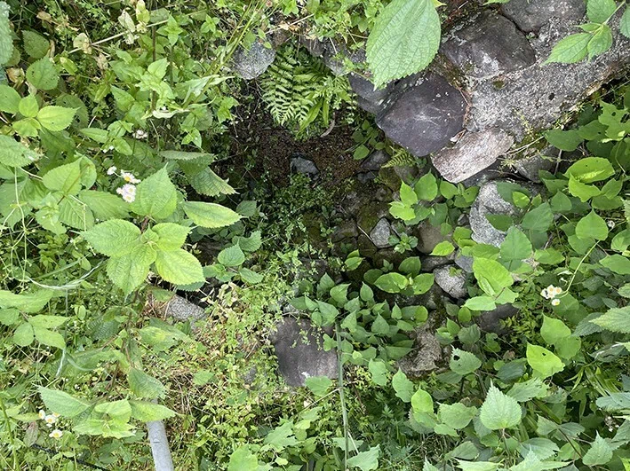 藤原鎌足の産湯の井戸