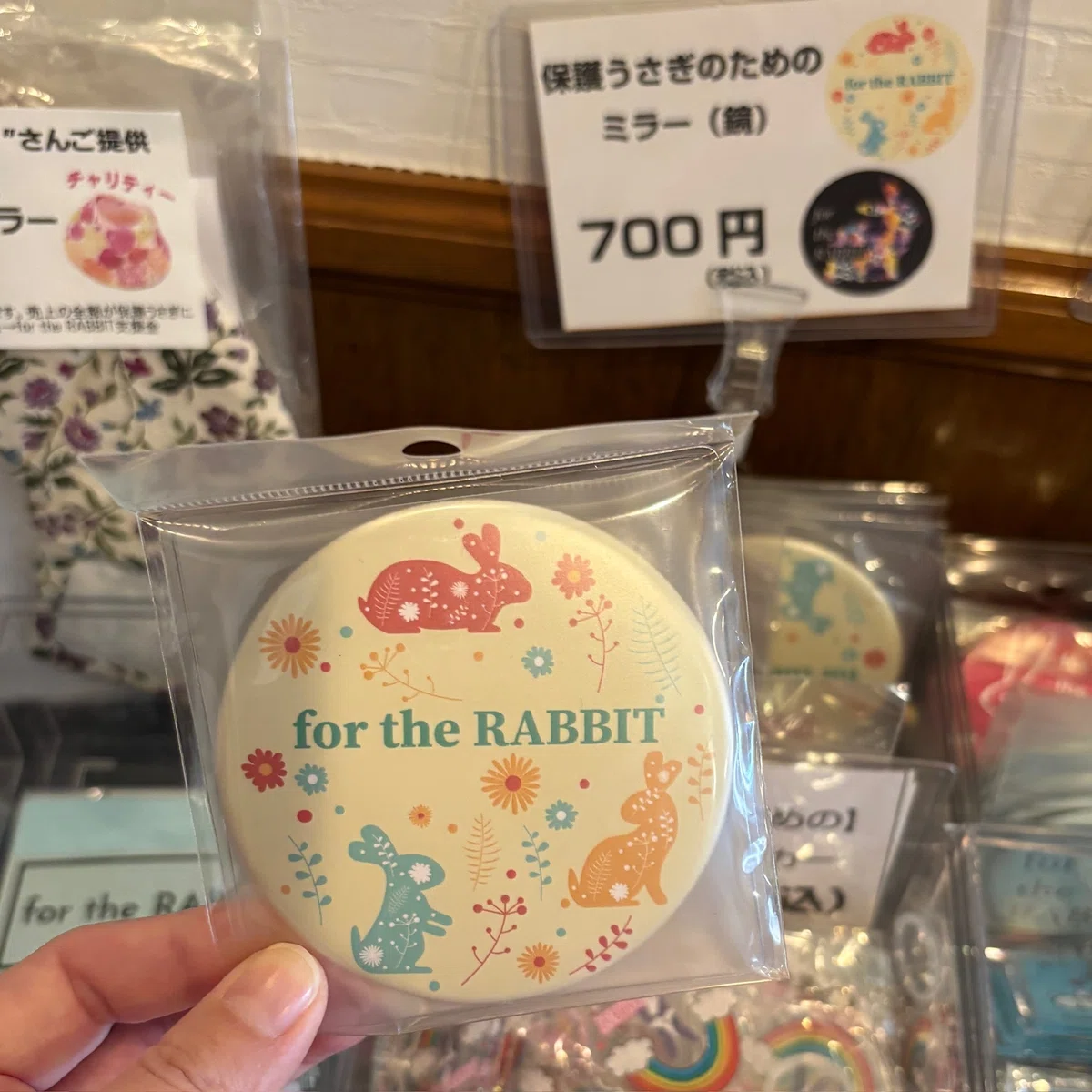 保護うさぎの譲渡会＆支援情報☆for the RABBIT☆愛とたくさん金をくれ！in神戸｜ウサキさん☆咲吉（さききち）