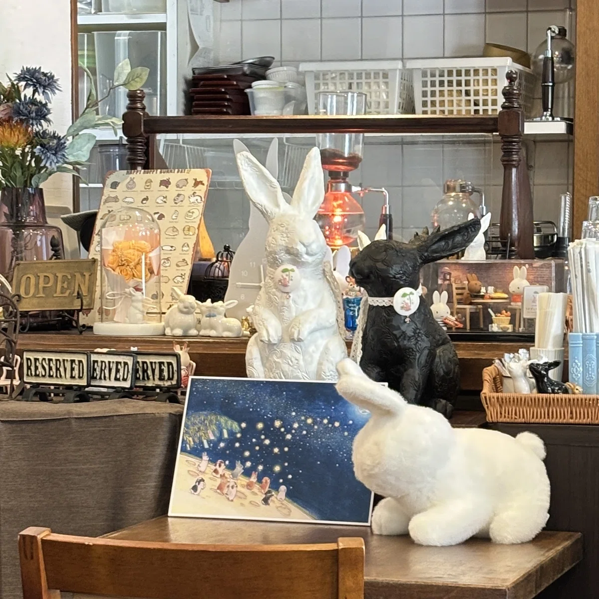 保護うさぎの譲渡会＆支援情報☆for the RABBIT☆愛とたくさん金をくれ！in神戸｜ウサキさん☆咲吉（さききち）
