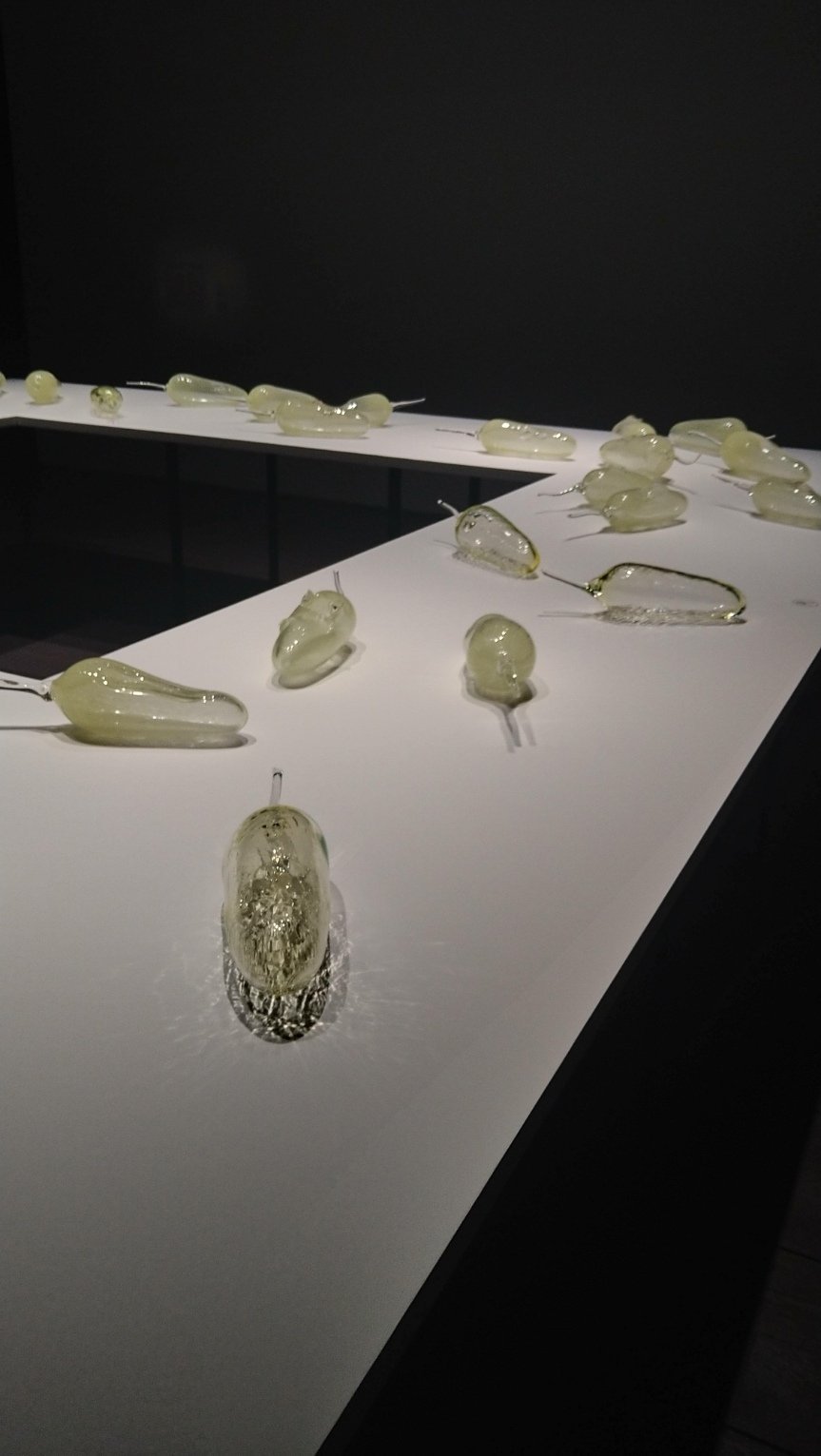 彼女たちのアボリジナルアート アーティゾン美術館【歴史を知る