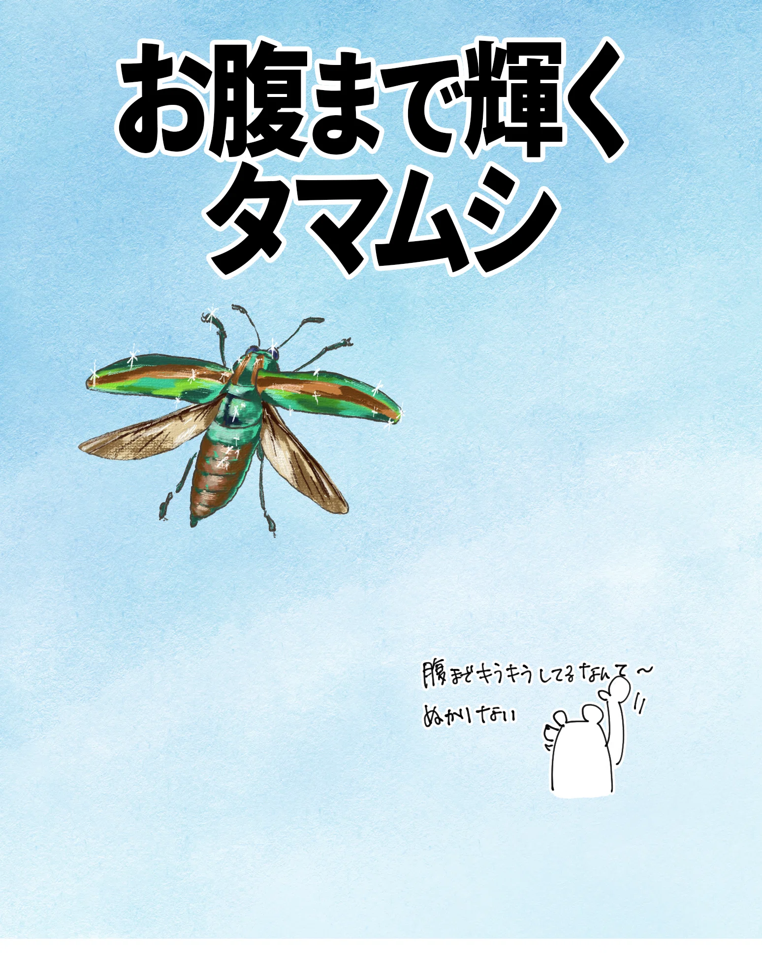 お腹まで輝くタマムシ｜くますけ｜自然ガイド・クリエイター