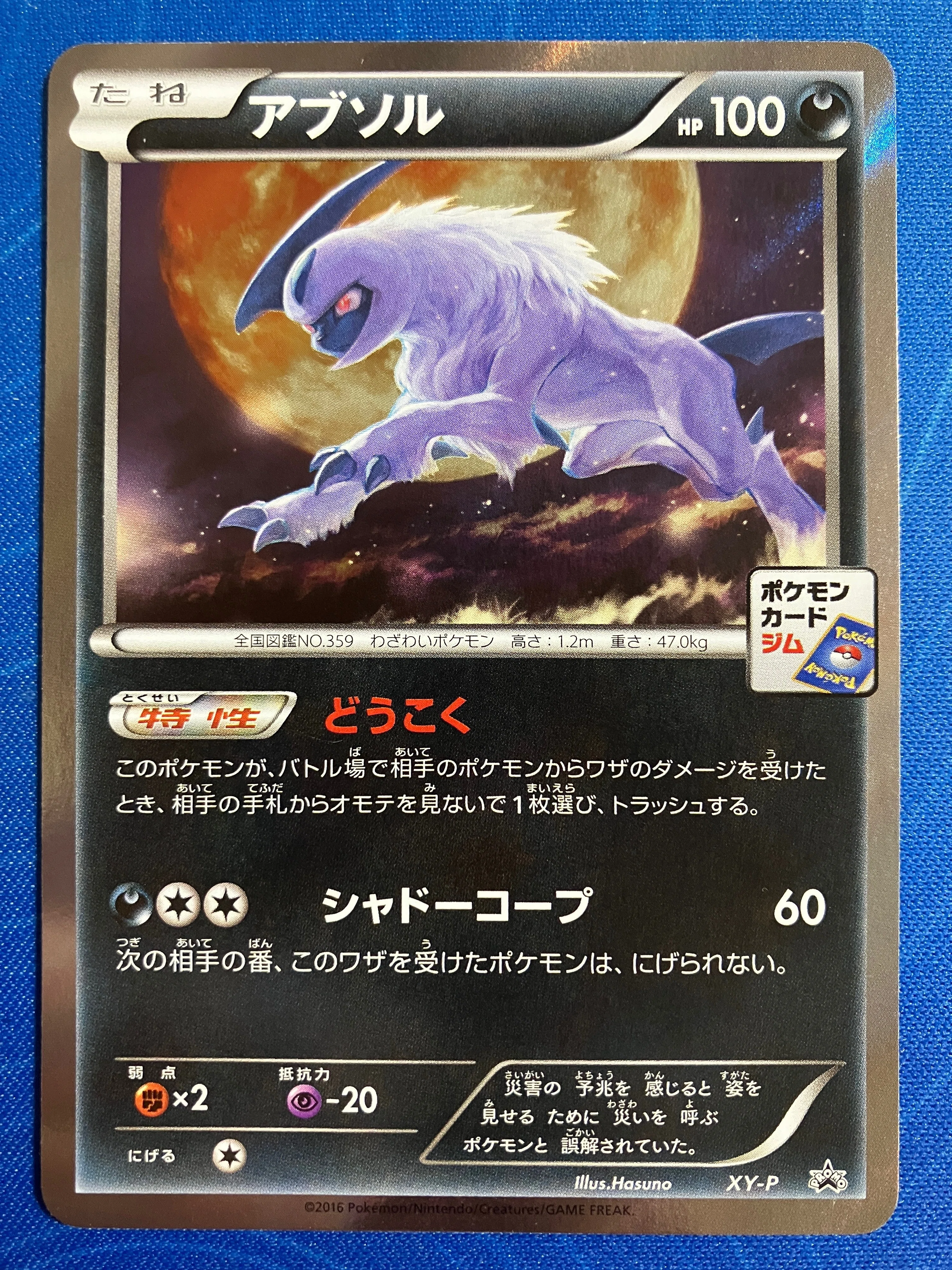 アブソル PSA10 カリンのナイトバトル ジムプロモ ポケモンカード