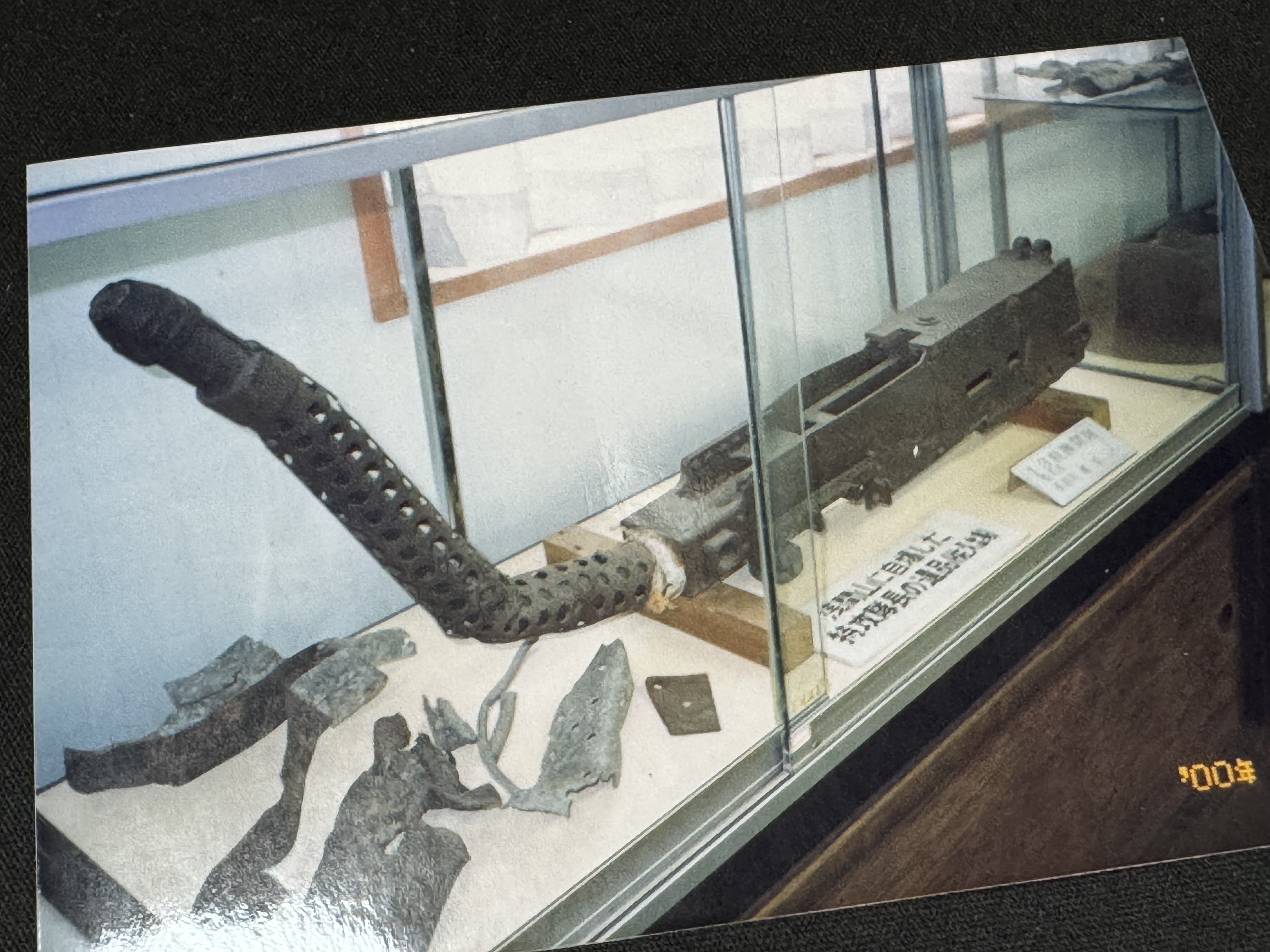 大平洋戦争終結の玉音放送が流れて3日後の1945年8月18日、長野県出身