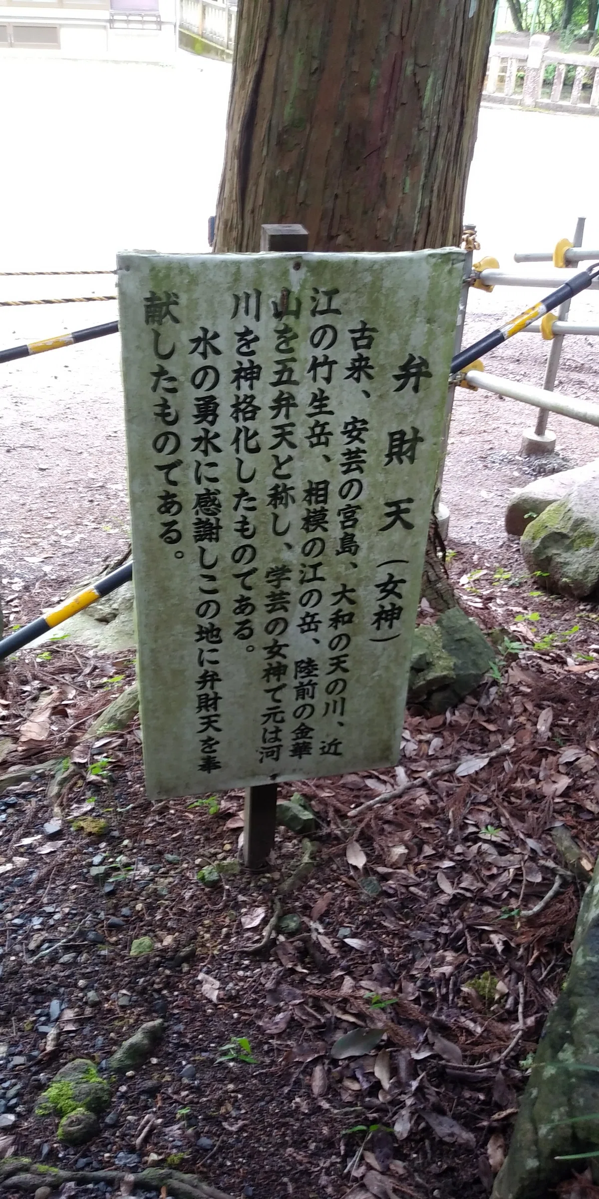 【旅記2025年6月】山口・九州 弁財天様|エリ