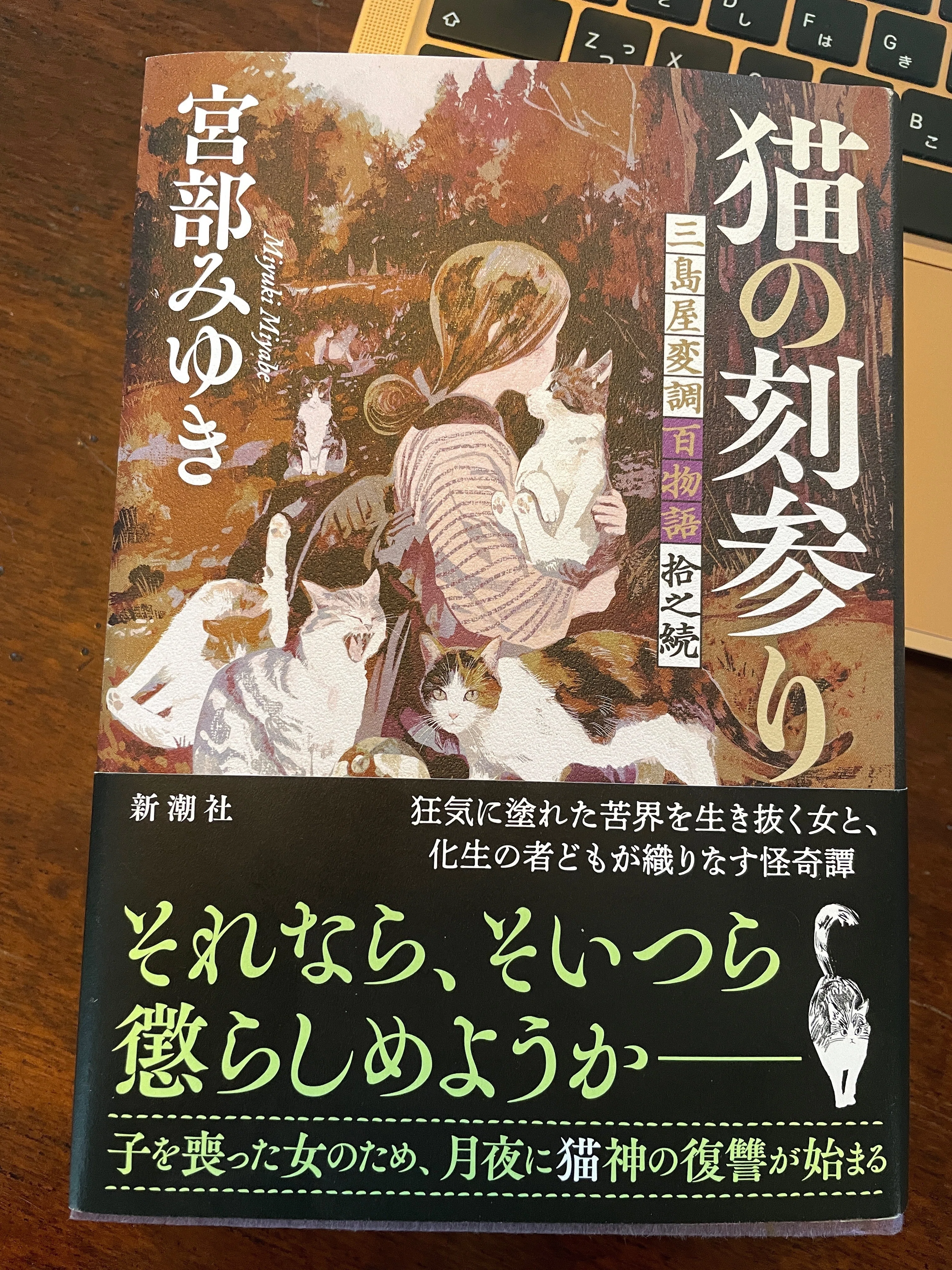 読了】600ページ超でも一気読み！ 『猫の刻参りー三島屋変調百物語拾之