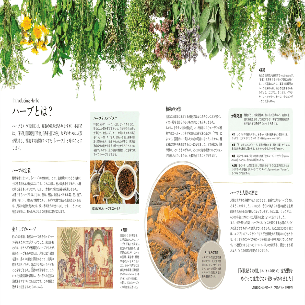 ハーブの魅力が一冊に】100種類以上の植物をビジュアルで詳解！ 初心者