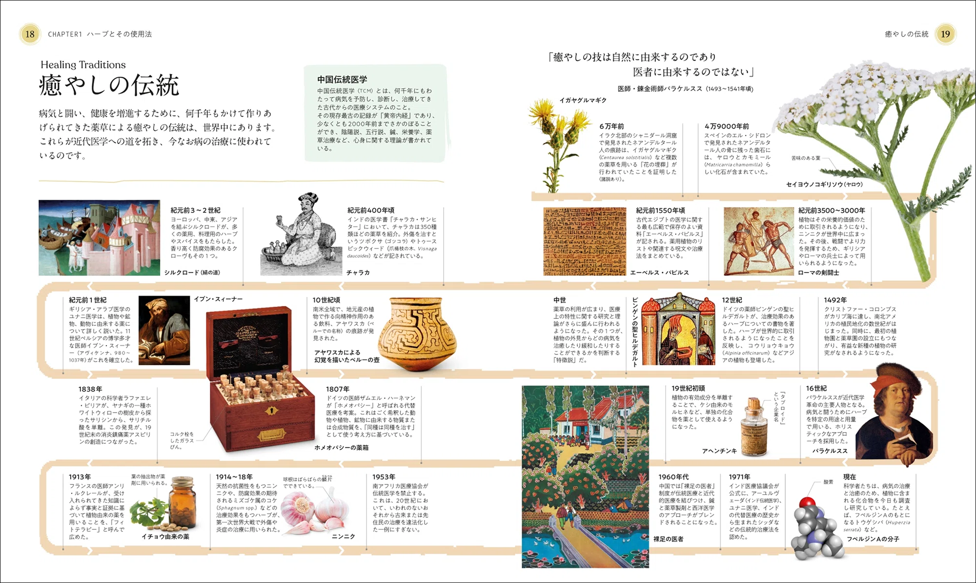 ハーブの魅力が一冊に】100種類以上の植物をビジュアルで詳解！ 初心者