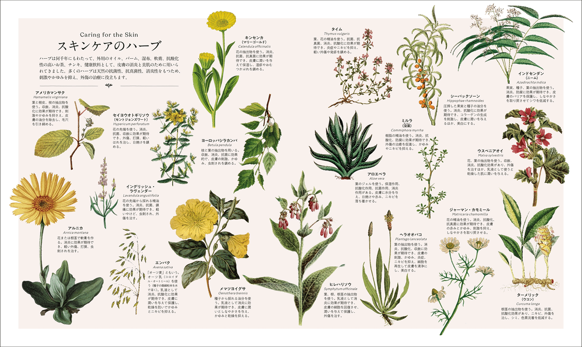 ハーブの魅力が一冊に】100種類以上の植物をビジュアルで詳解