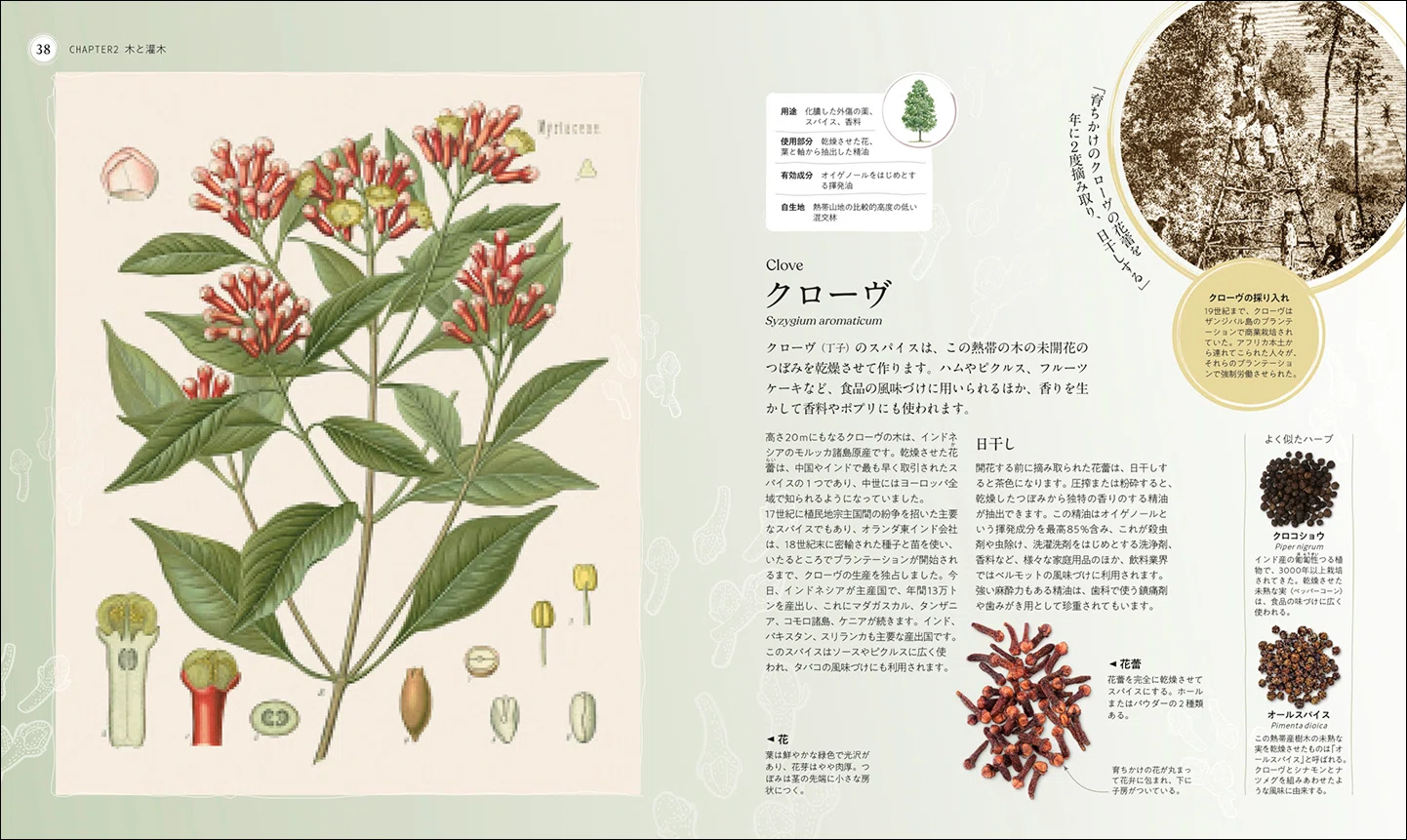 希少】原色百科世界の薬用植物 Ⅰハーブのすべて Ⅱハーブ事典 編著者