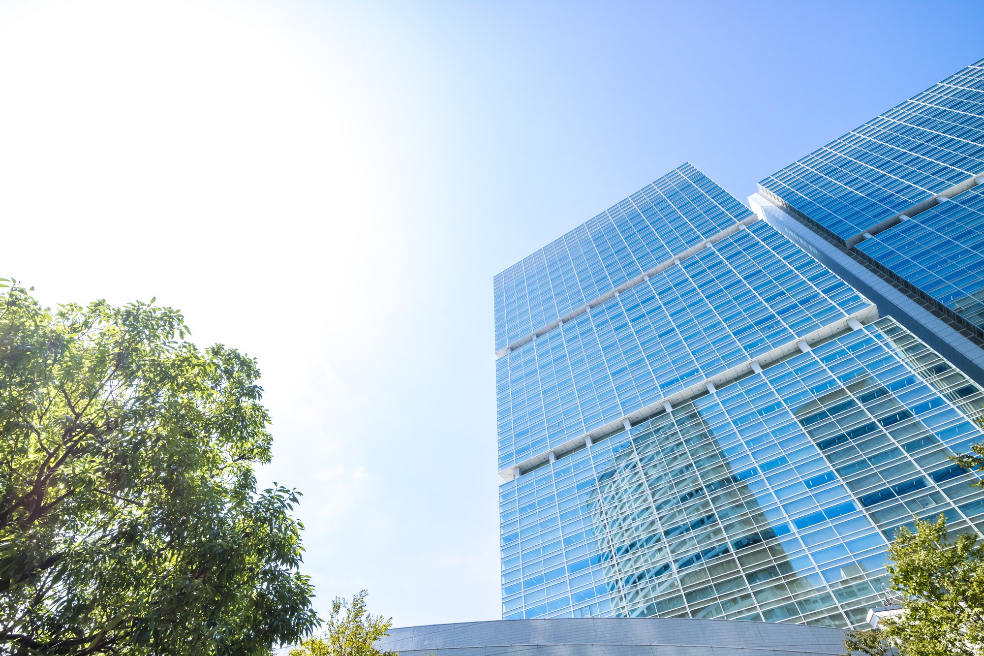 企業の成長を加速させる「ハイ・フライヤー」リーダー育成の戦略論