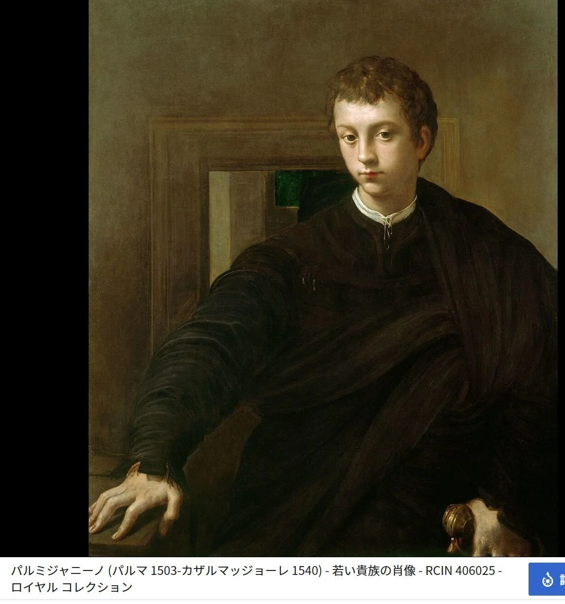 Parmigianino (Parma 1503-Casalmaggiore 1540)
Portrait of a Young Nobleman c.1530-32英国ロイヤル・コレクション