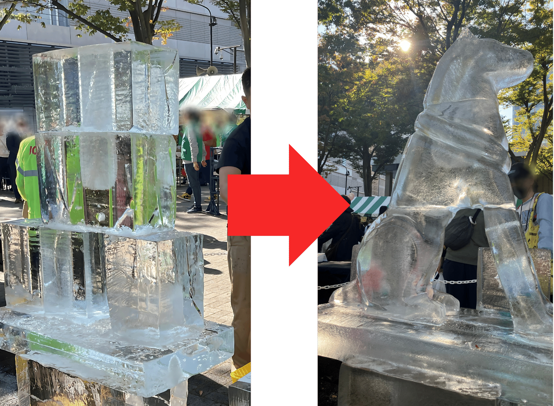 氷の彫刻刀 彫刻刀だけじゃない！氷彫刻のツールとテクニックとは？｜小野田の超純