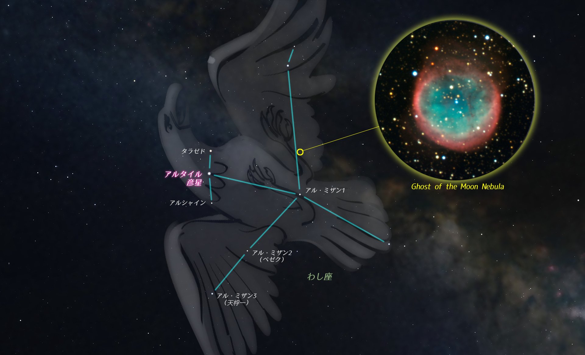 もしも牽牛がサンボマスターだったら」星とロック七夕革命2025第一