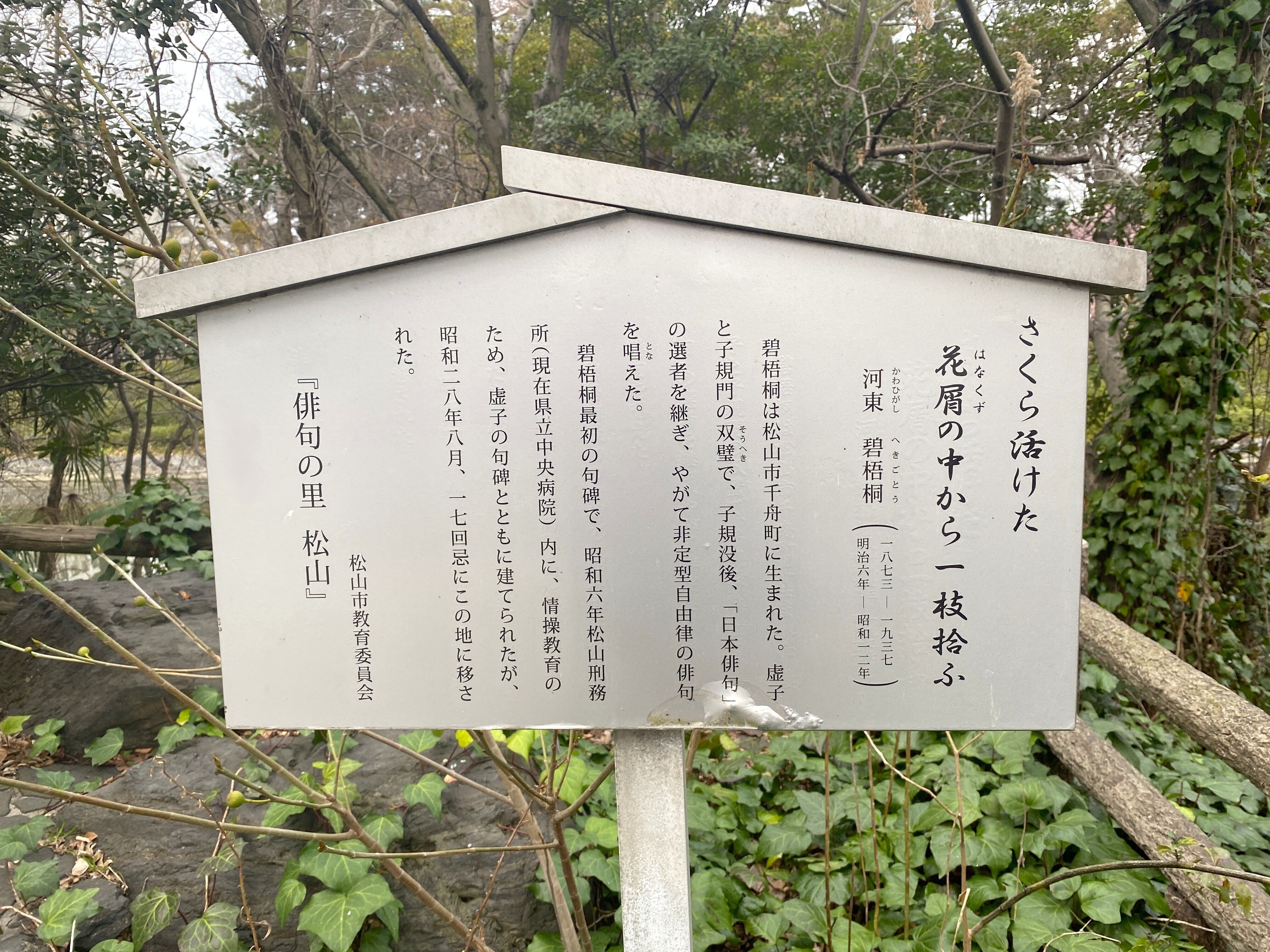 俳人 河東碧梧桐 肉筆扇面 松山 子規交遊 俳人 河東碧梧桐 肉筆扇面 松山 子規交遊（文学の森資料館・企画