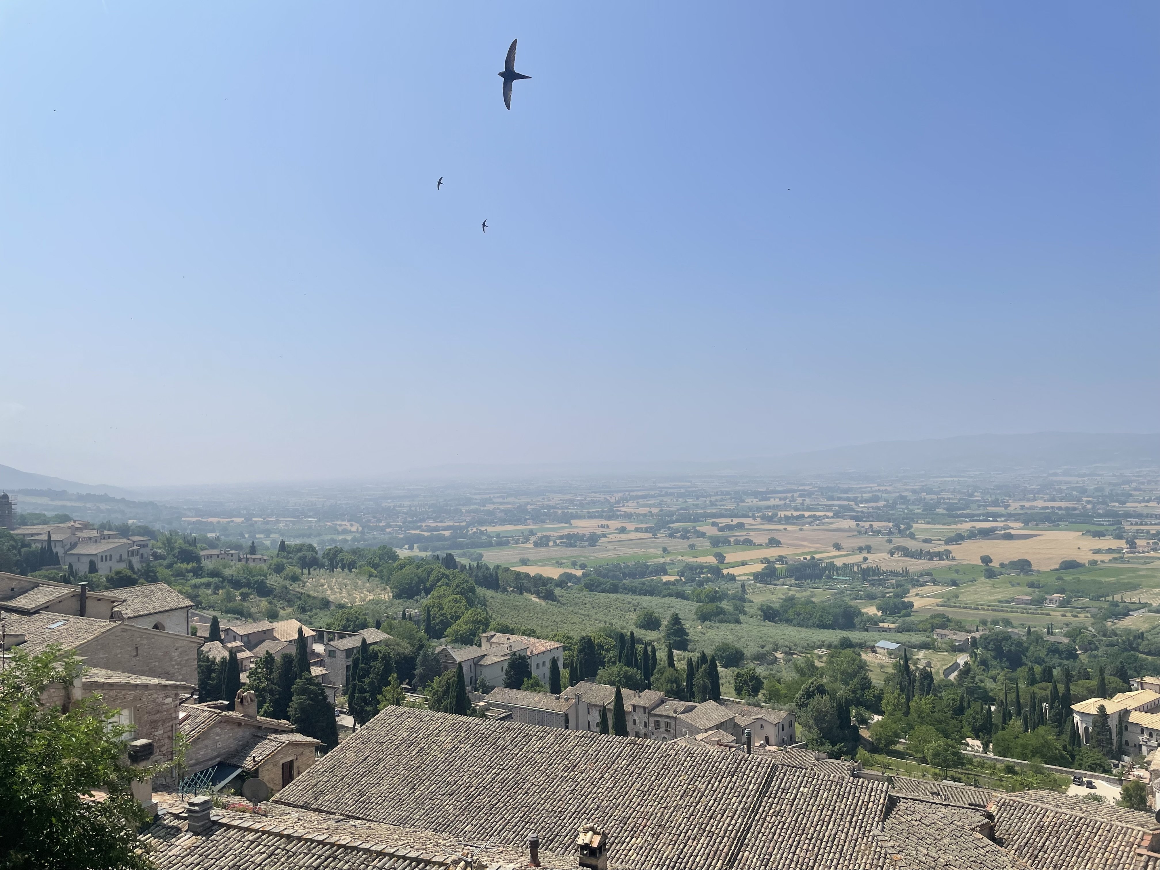 Day6 前編 ローマ・イタリアの田舎旅🇮🇹 ｜絵画のような丘の町