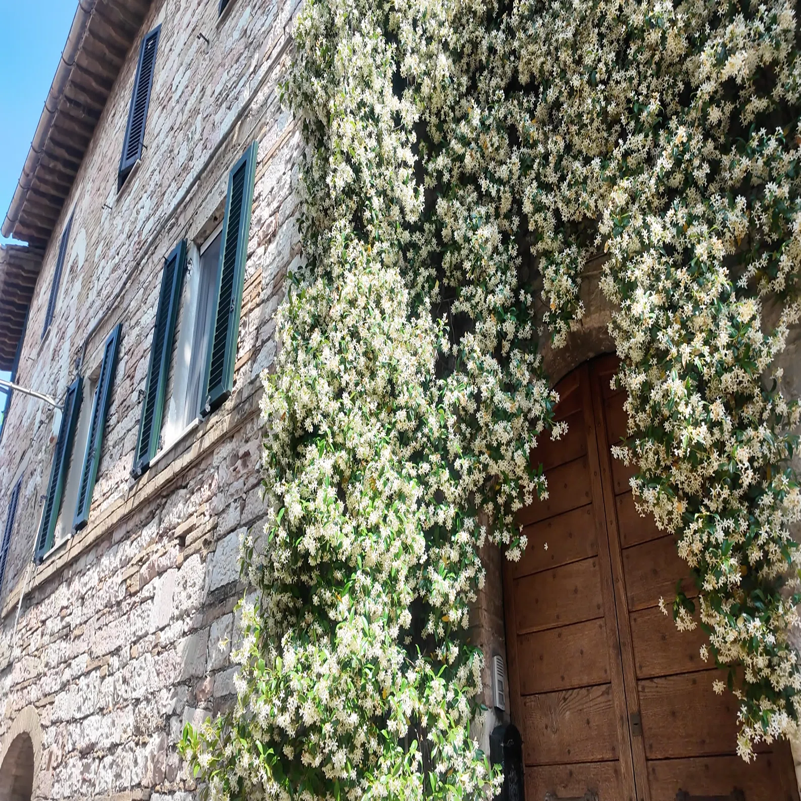 Day6 前編 ローマ・イタリアの田舎旅🇮🇹 ｜絵画のような丘の町