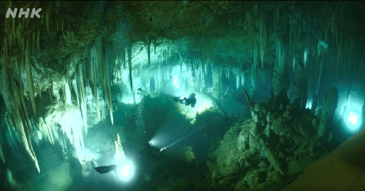 NHK潜水班が挑んだ、最高難度の洞窟潜水撮影 ～南大東島の地下に広がる