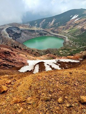 蔵王山 蔵王ロープウェイ | 2024.6.29 高山植物開花情報vol.4がUPされ