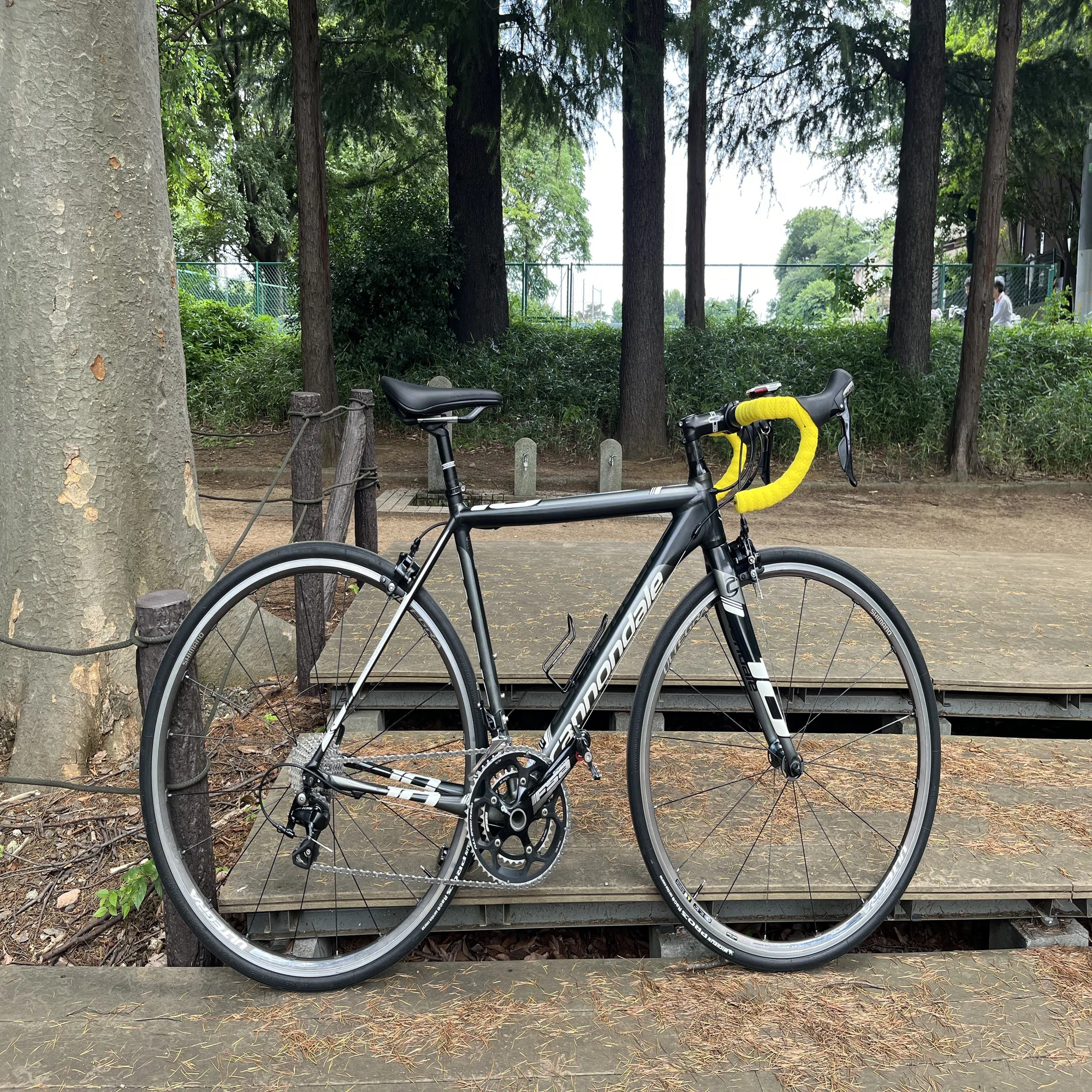 わたしは如何にして特に不要なロードバイクを増車したか-CANNONDALE 