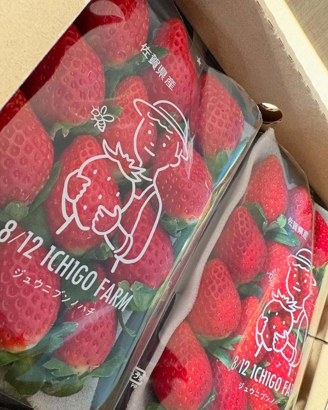 いちごと笑顔を育てている8/12 ICHIGO FARMの井手です！｜自己紹介後編