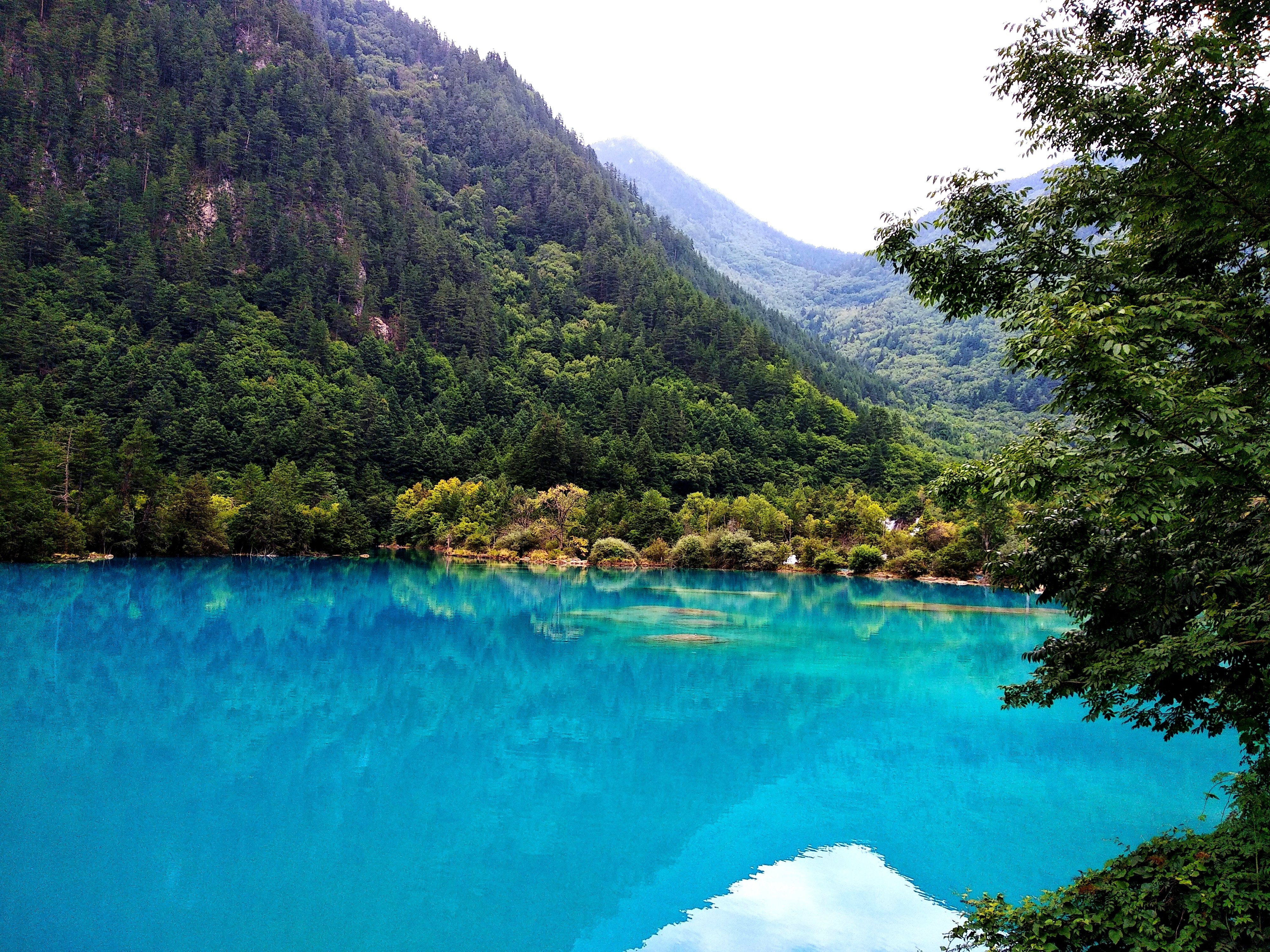 中国の旅（20）〜絶景リベンジ！波乱だらけの四川旅～九寨溝そして黄龍