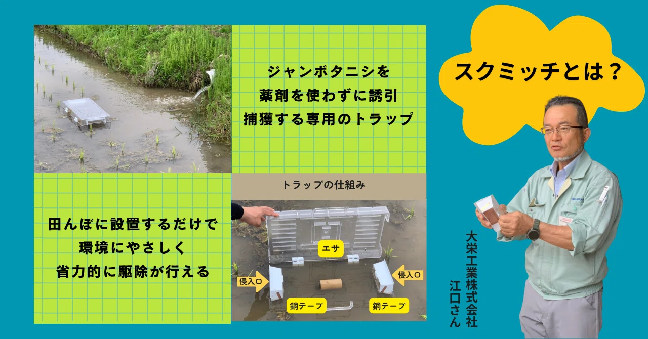 タニシさん専用 タニシさん専用 楽天市場】【ジャンボタニシ対策に