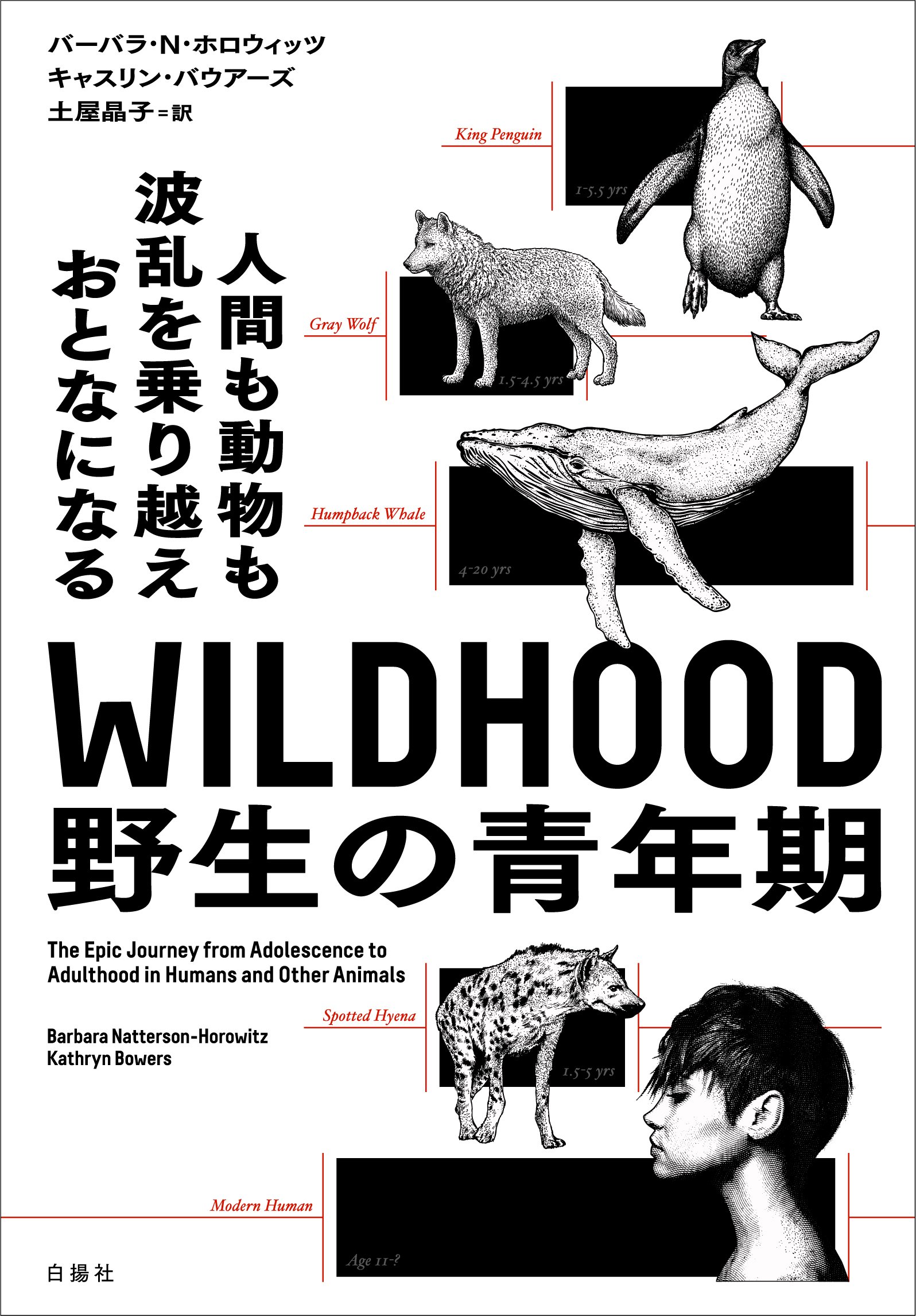 国立大学クラス 駿台夏期講習 虎の巻 あえて書き込みもメモ帳もそのまま 国立大学クラス 駿台夏期講習 虎の巻 あえて書き込みもメモ帳も