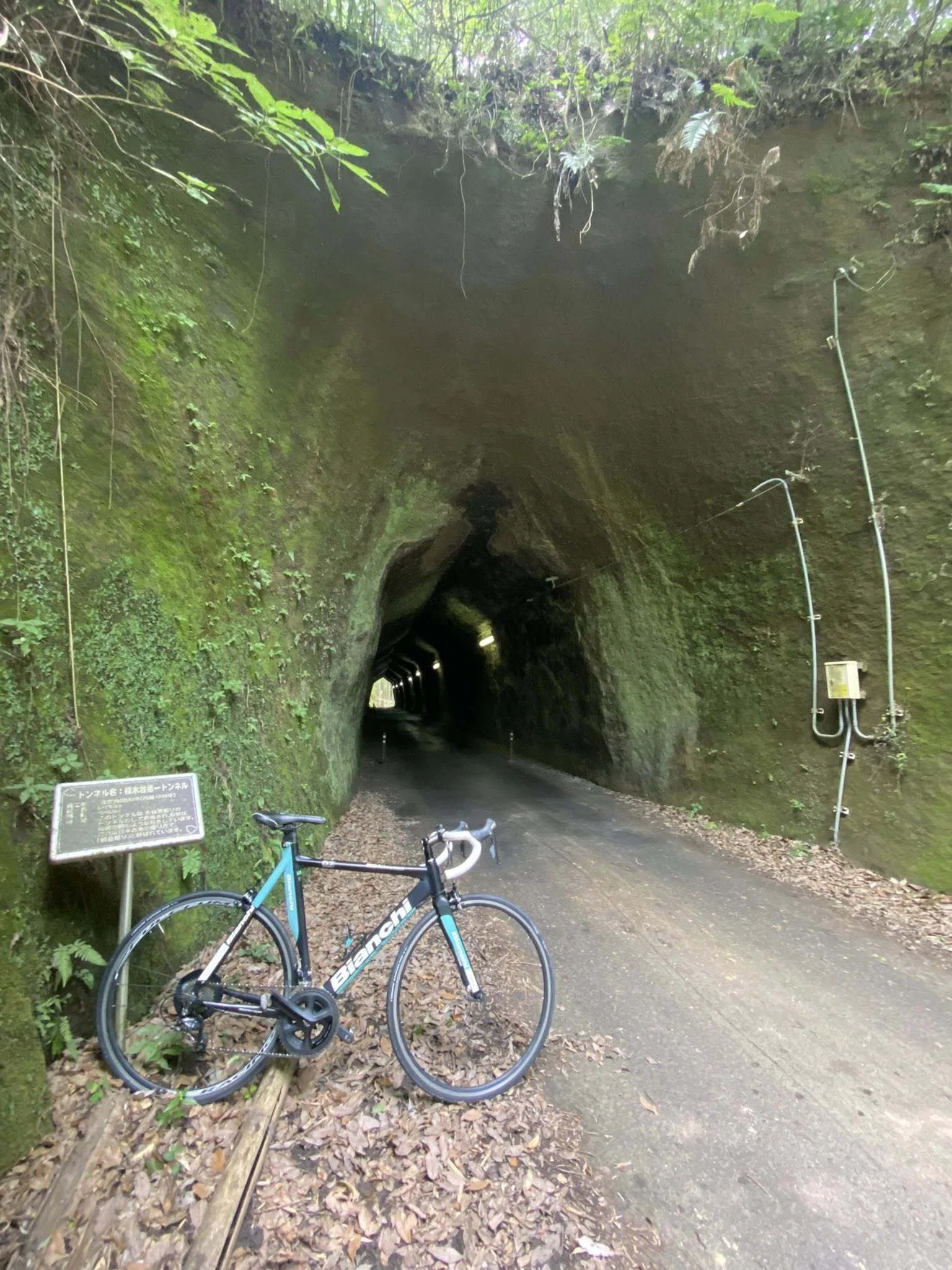 サイクルボール】地域担当者によるリアルなコース紹介 房総いち編