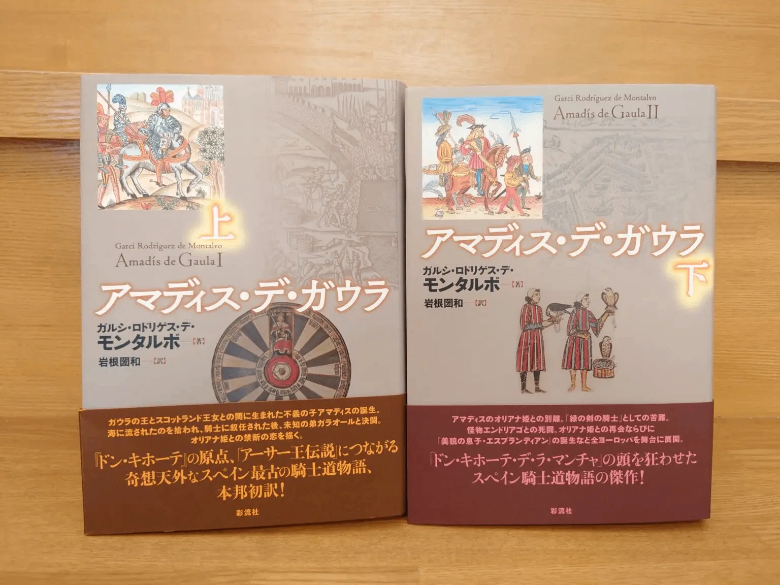 小説『ドン・キホーテ』のあらすじとその魅力とは？私の最も愛する小説 