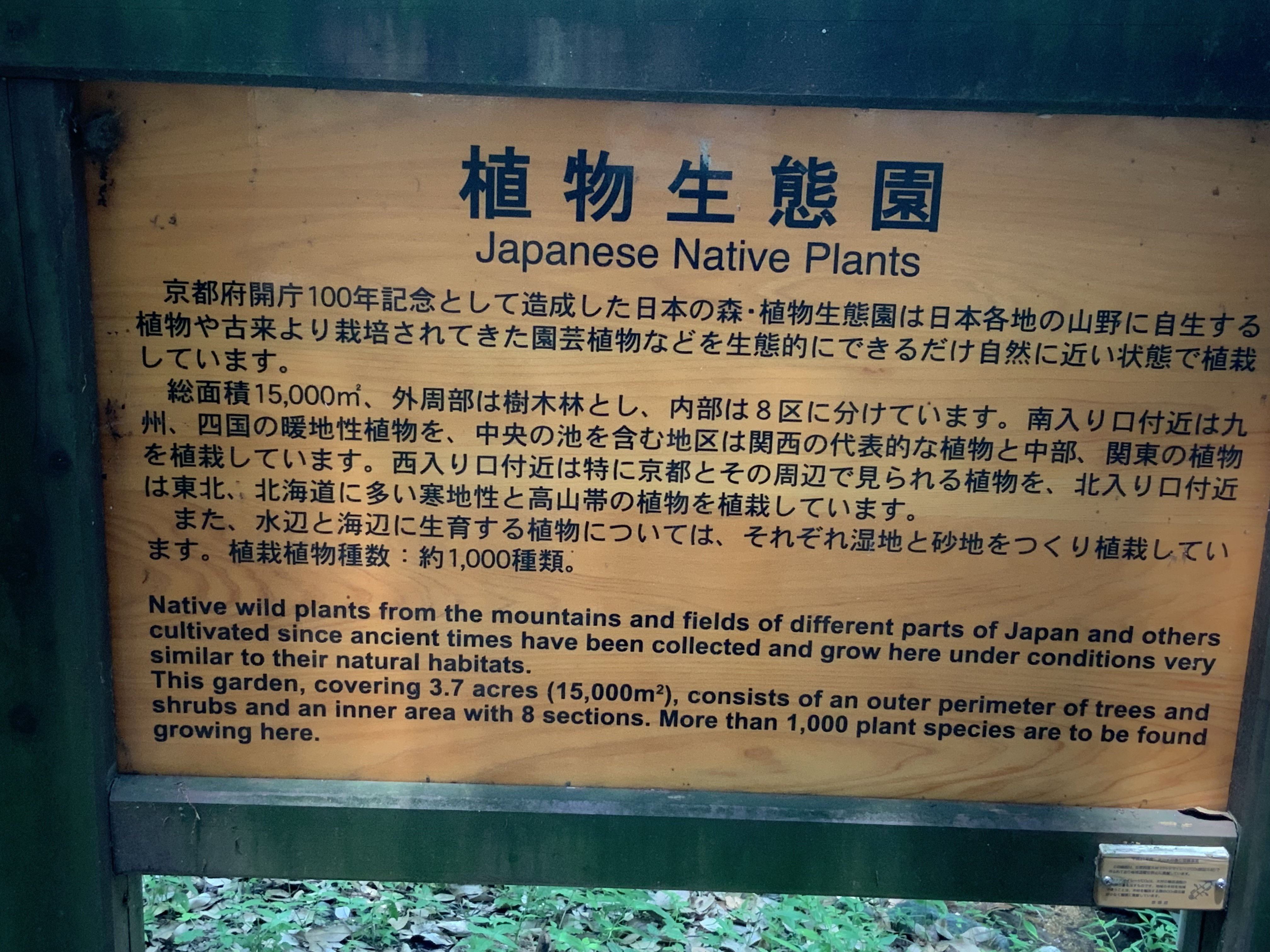 京都府立植物園の植物生態園と源氏物語（その壱）：2025年7月10