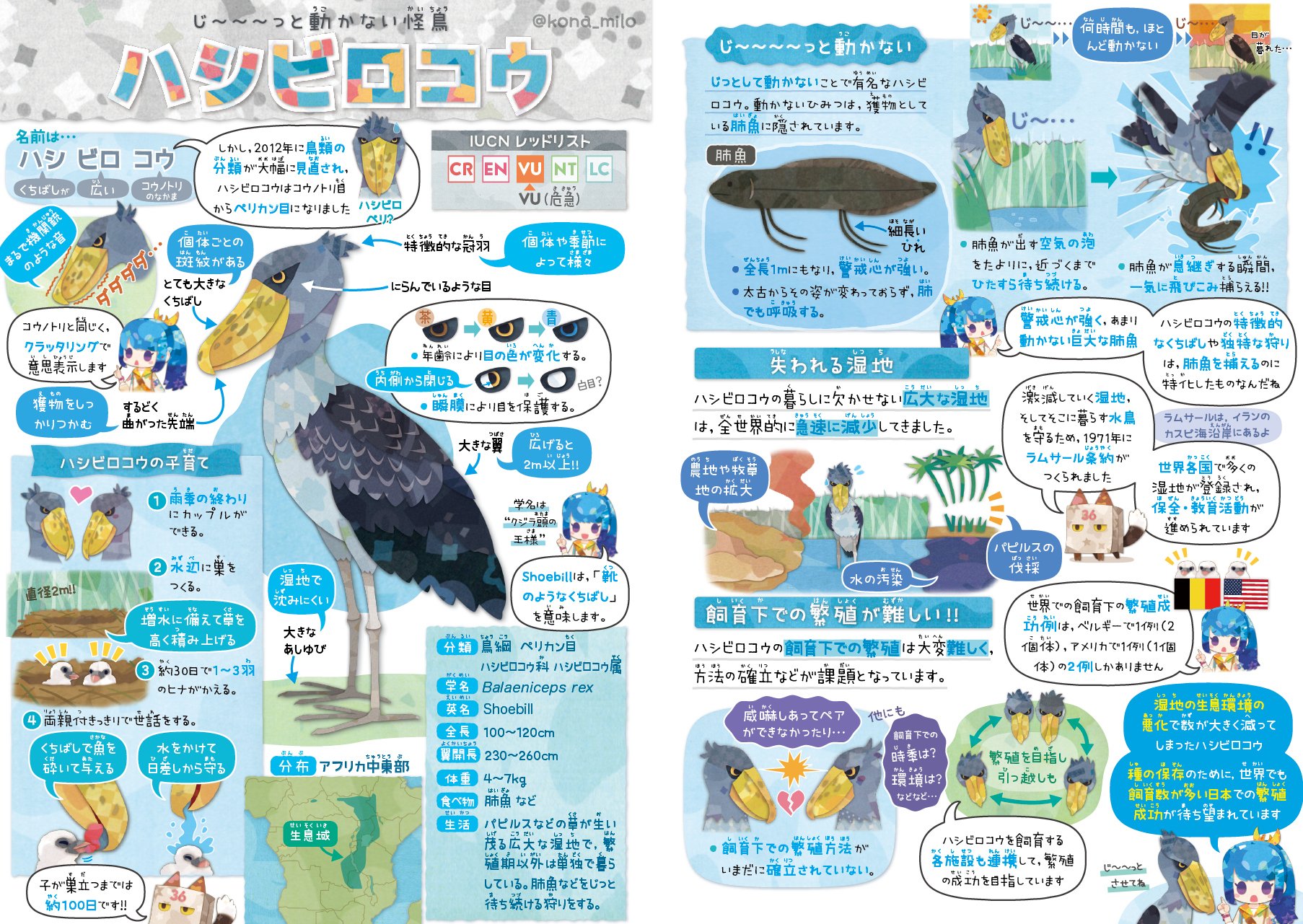絶滅危機動物はファイル キクチミロ 直筆イラスト入りサイン本 けものフレンズ2 書籍「絶滅危機動物ファイル」発売!!｜キクチミロ