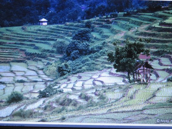 イランにも棚田があった😍｜barber 三朝温泉の梶川理髪館（おかげ