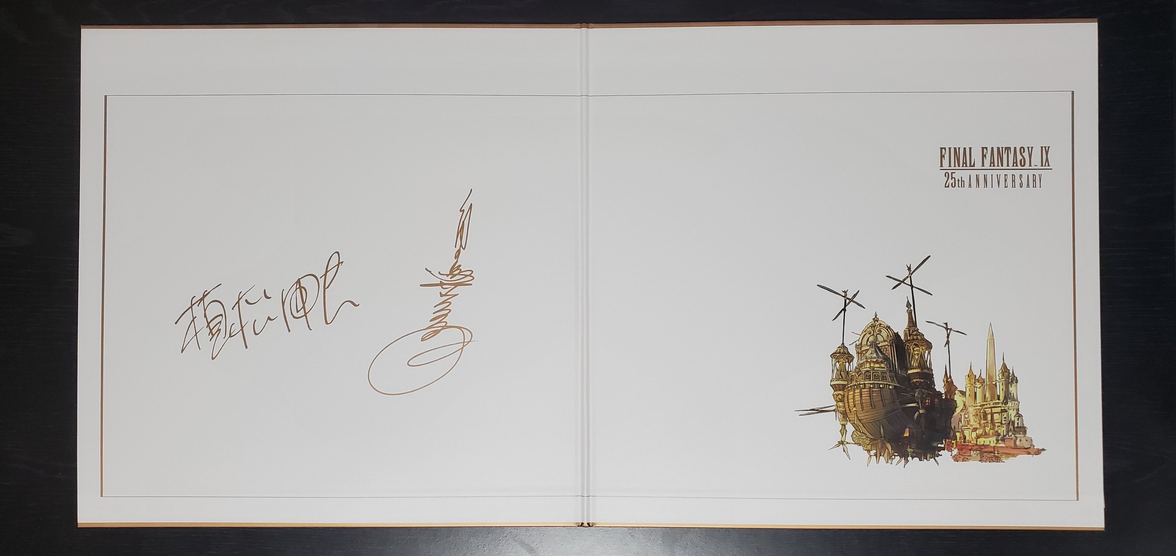 FINAL FANTASY IX 25th レコード　ブックレットとMP3欠品 FF9】『FINAL FANTASY IX 25th Anniversary Vinyl - Timeless